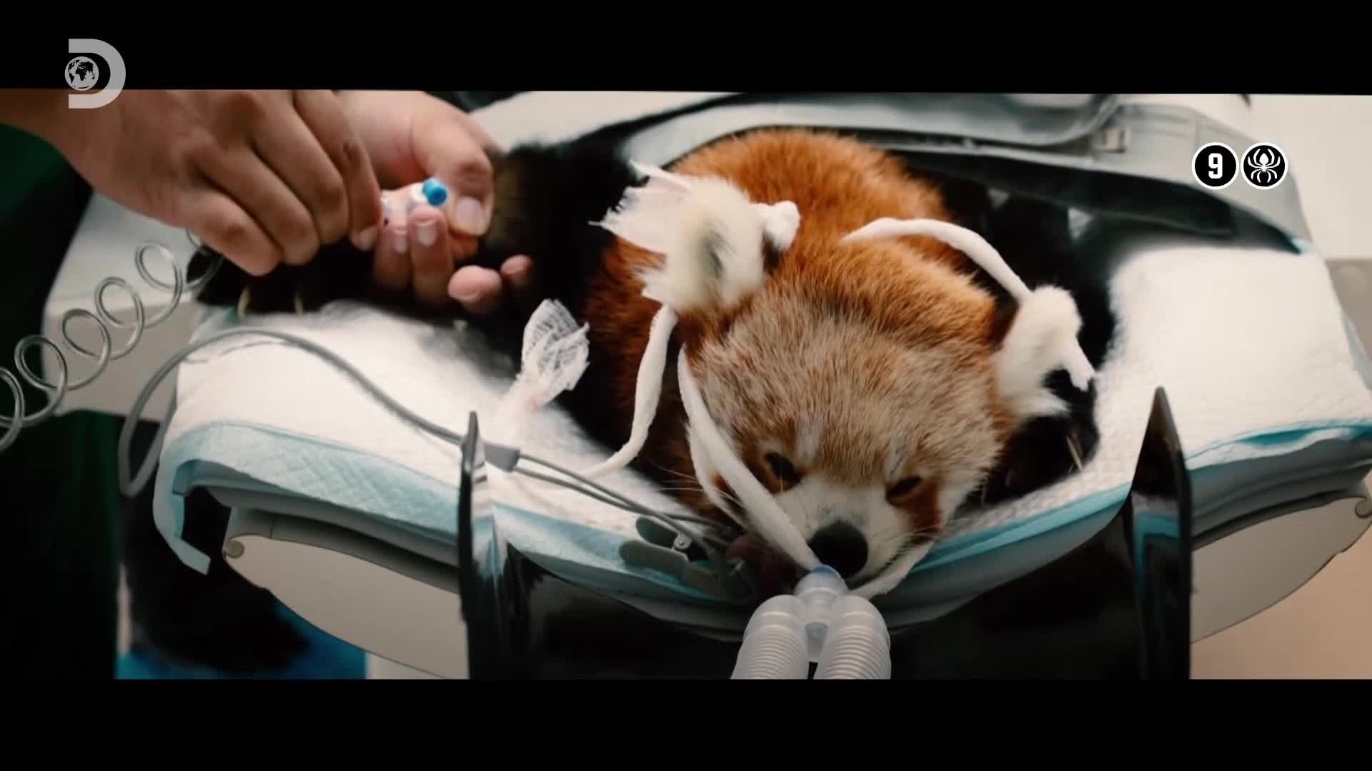 ViasatExplorer