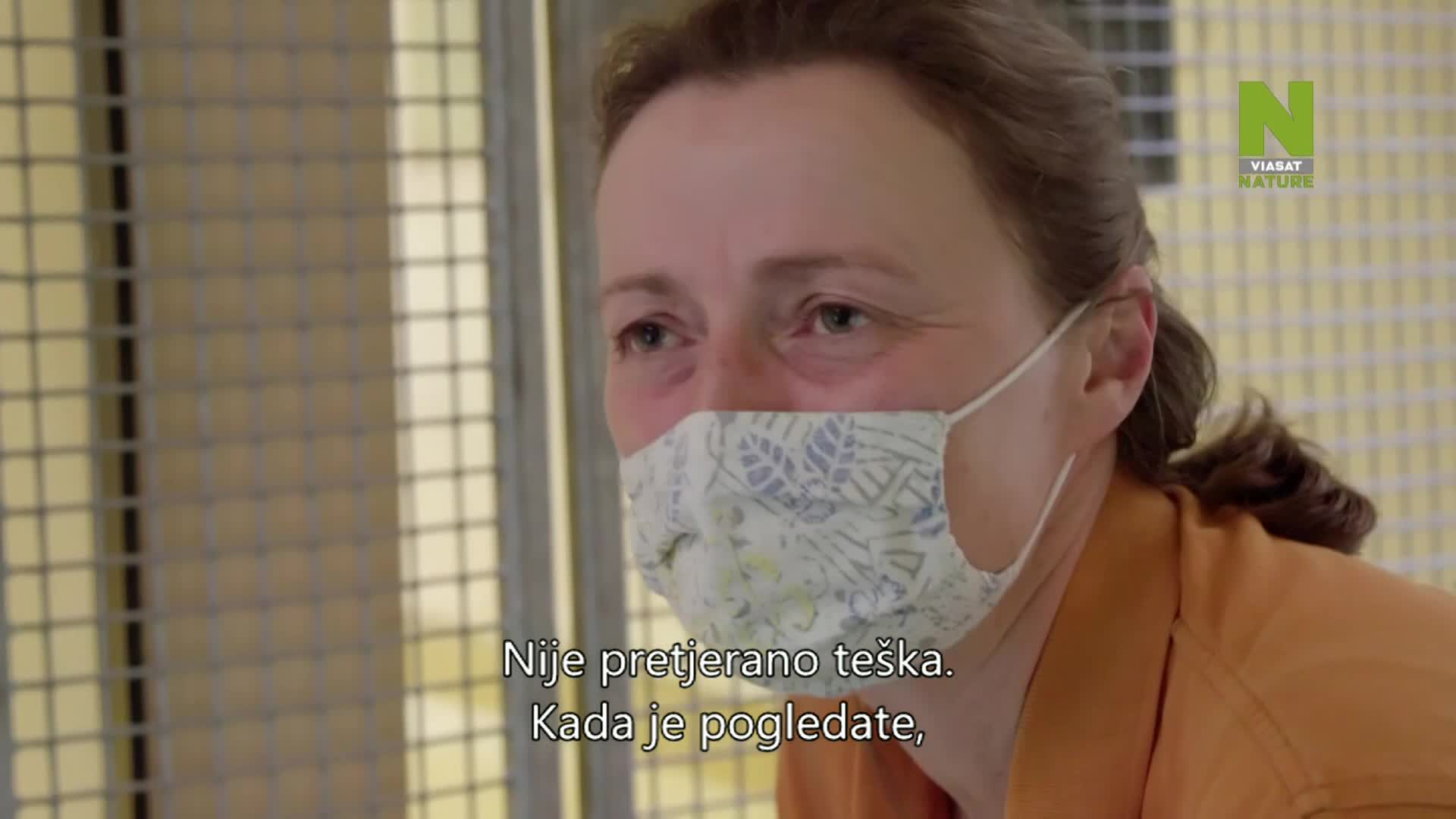 ViasatNature
