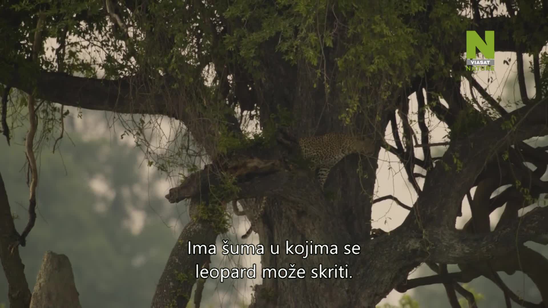 ViasatNature