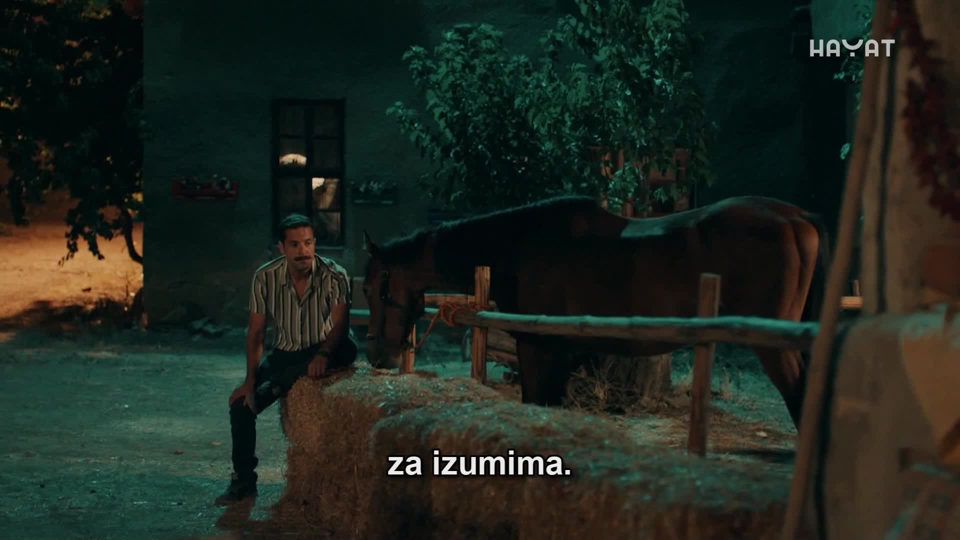 hayat
