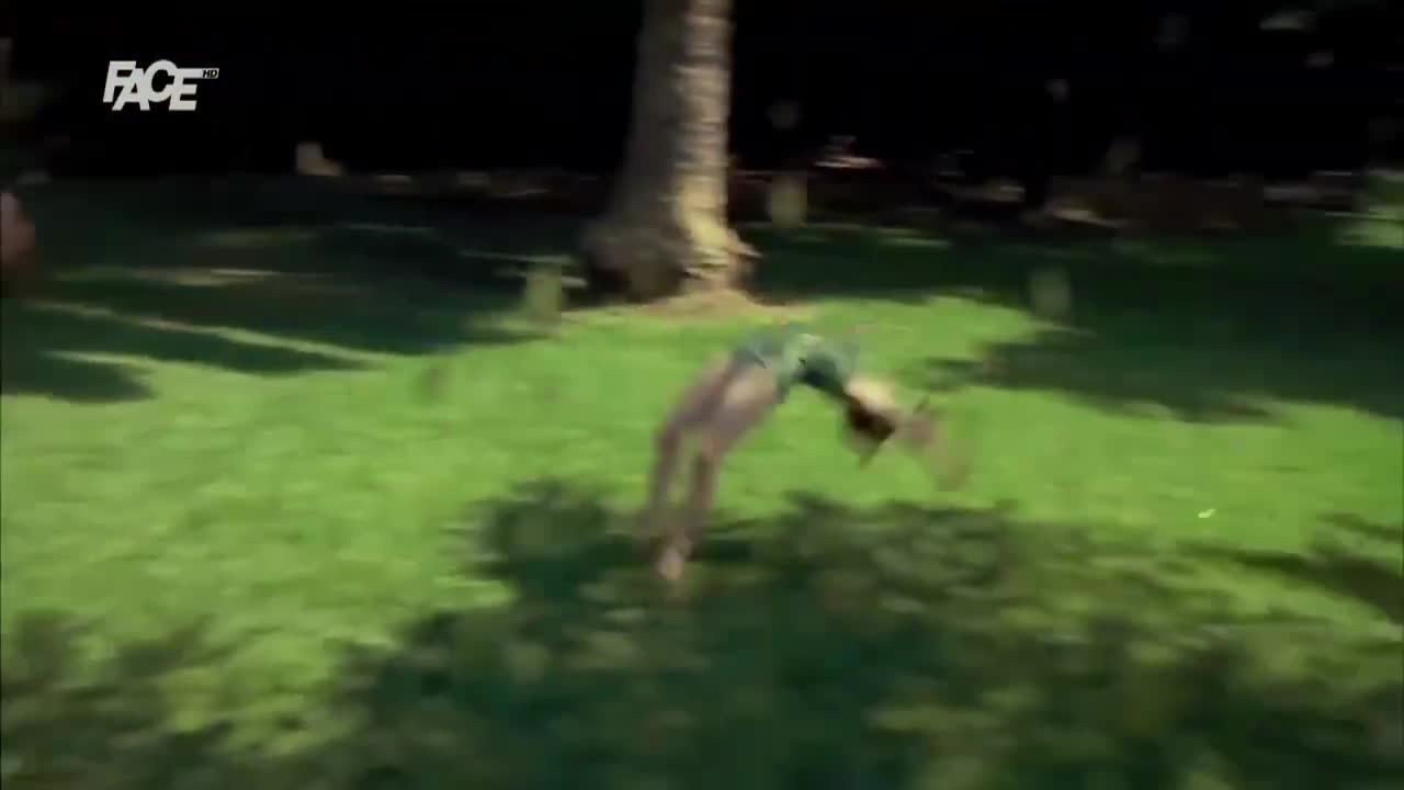 FaceTV