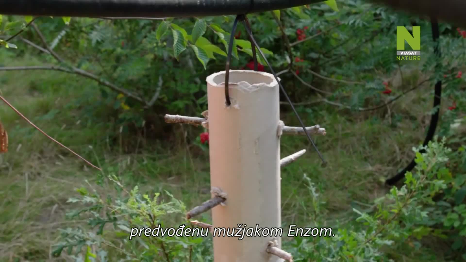 ViasatNature