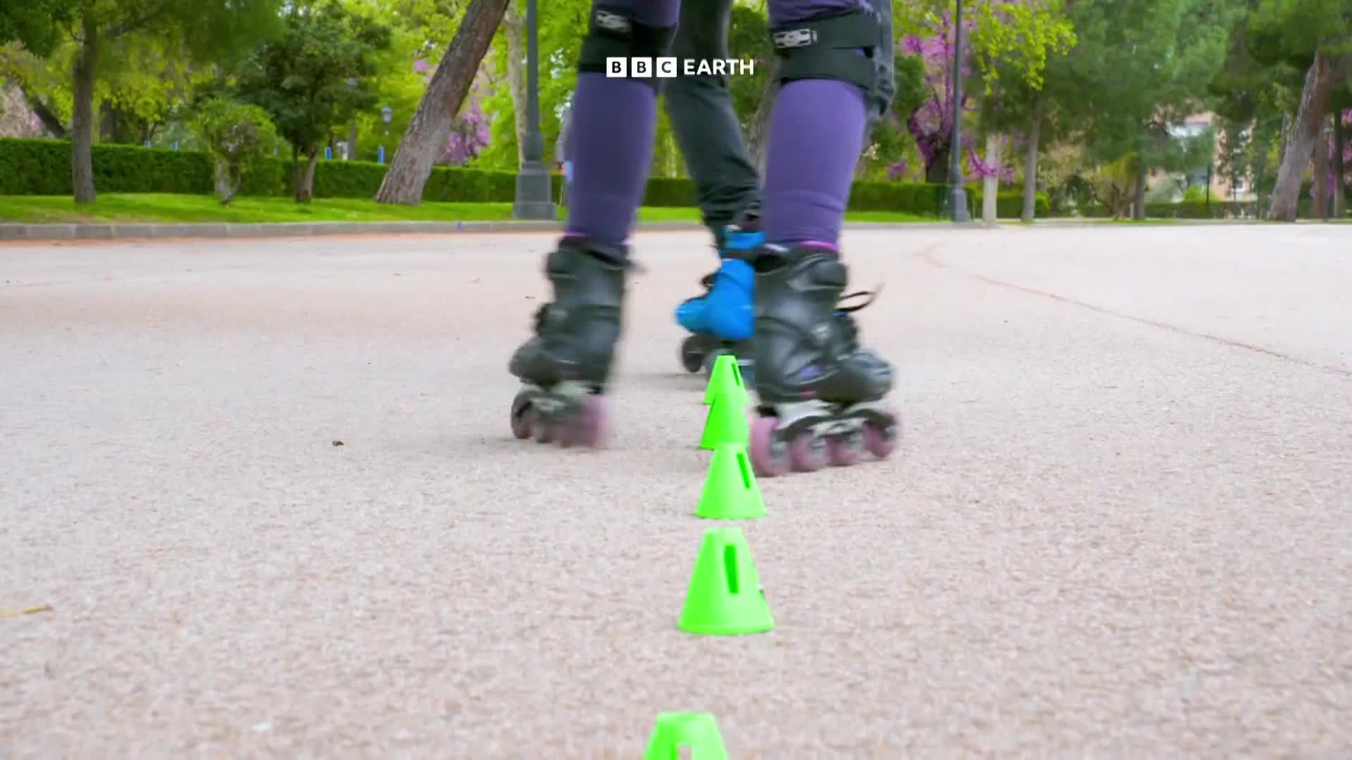 BBCEarth