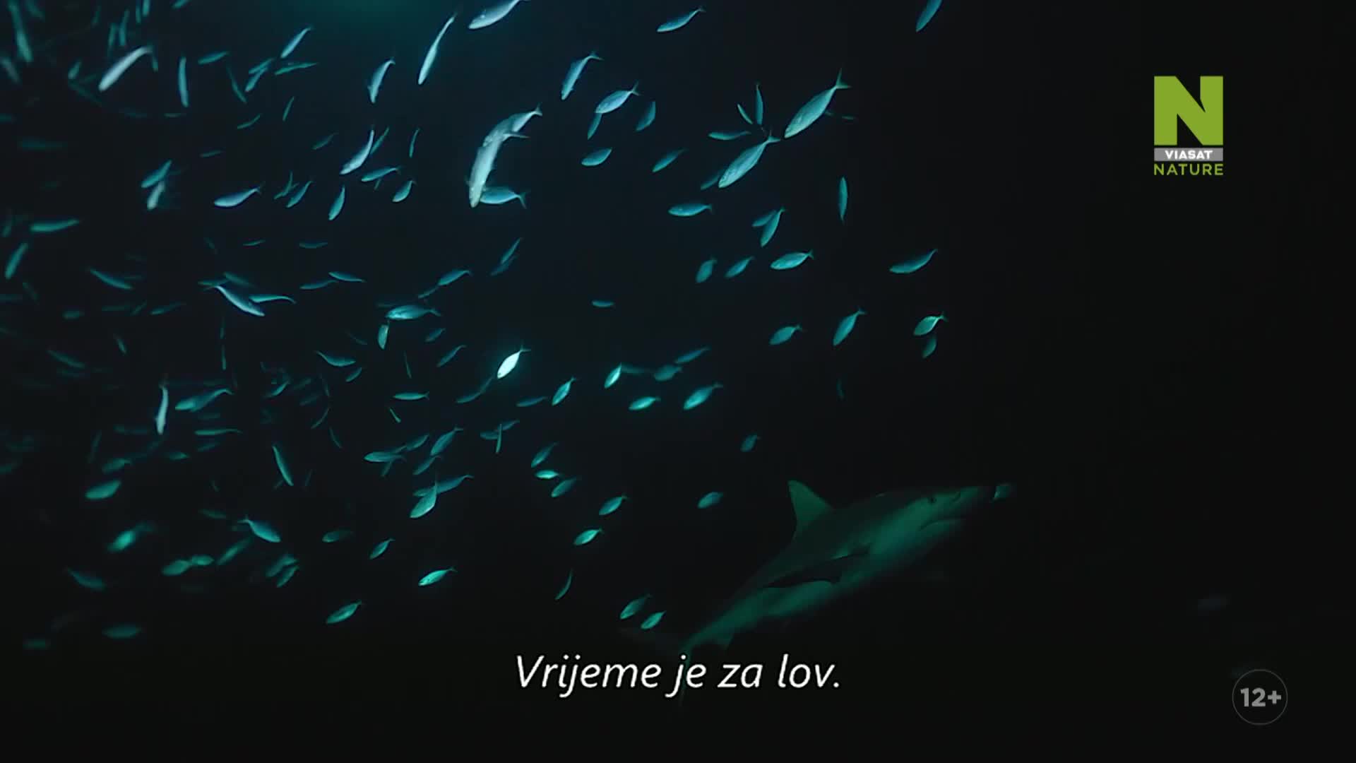 ViasatNature