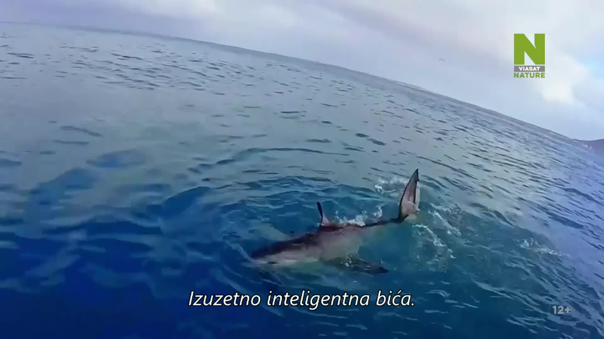 ViasatNature