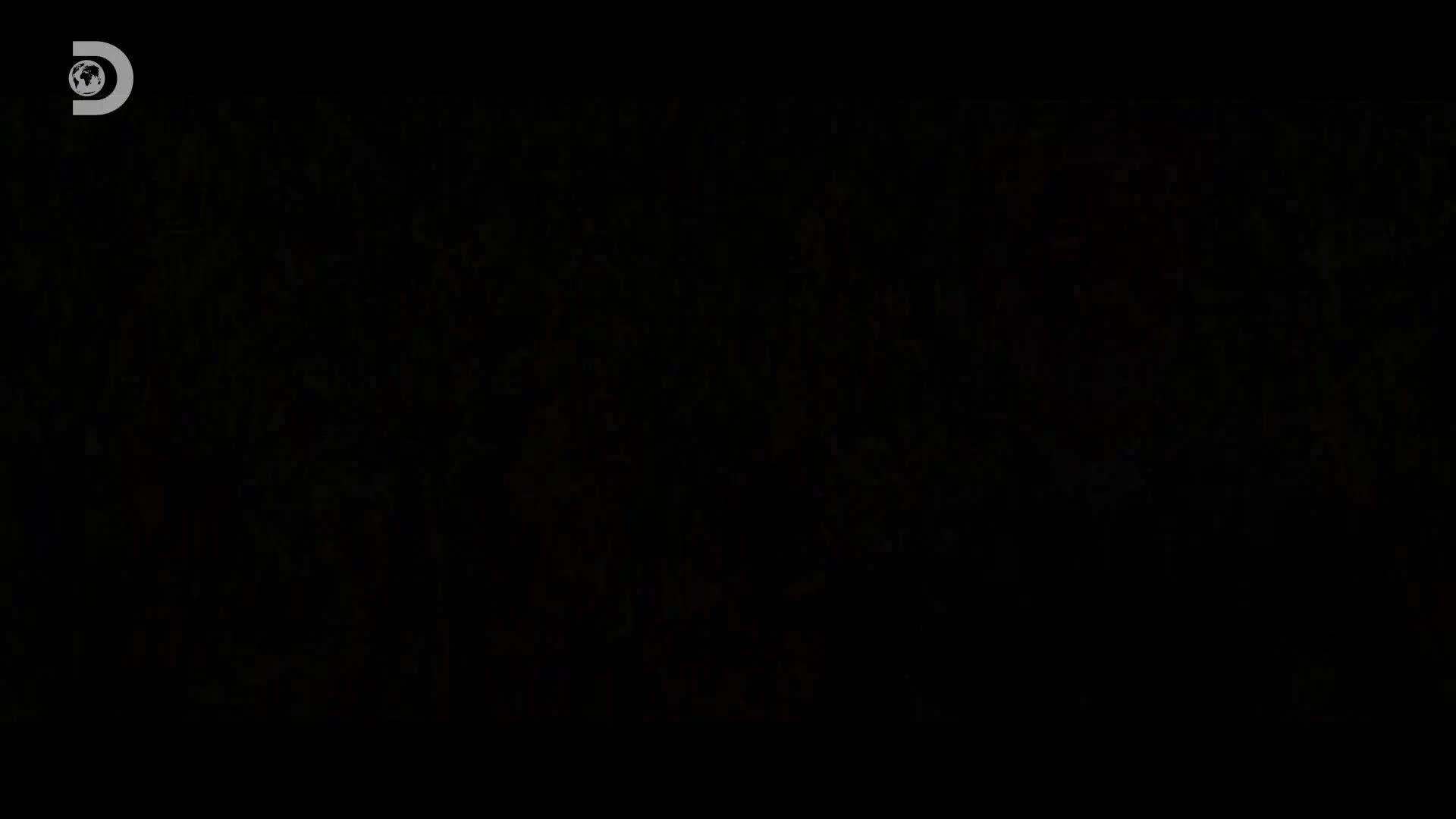 ViasatExplorer