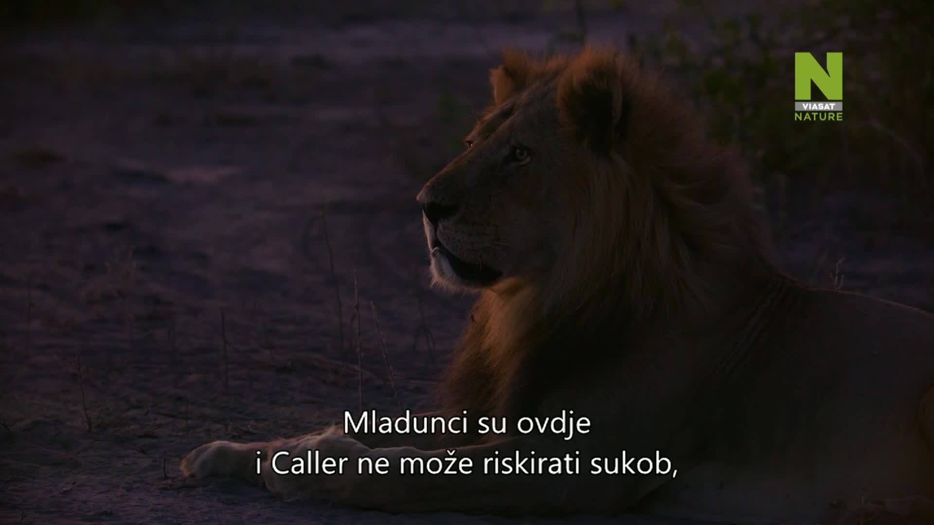 ViasatNature