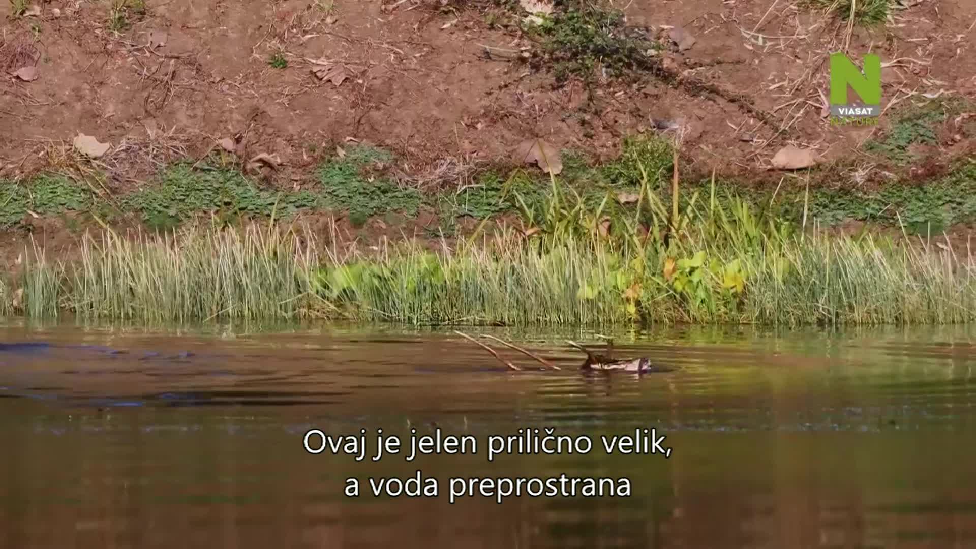 ViasatNature