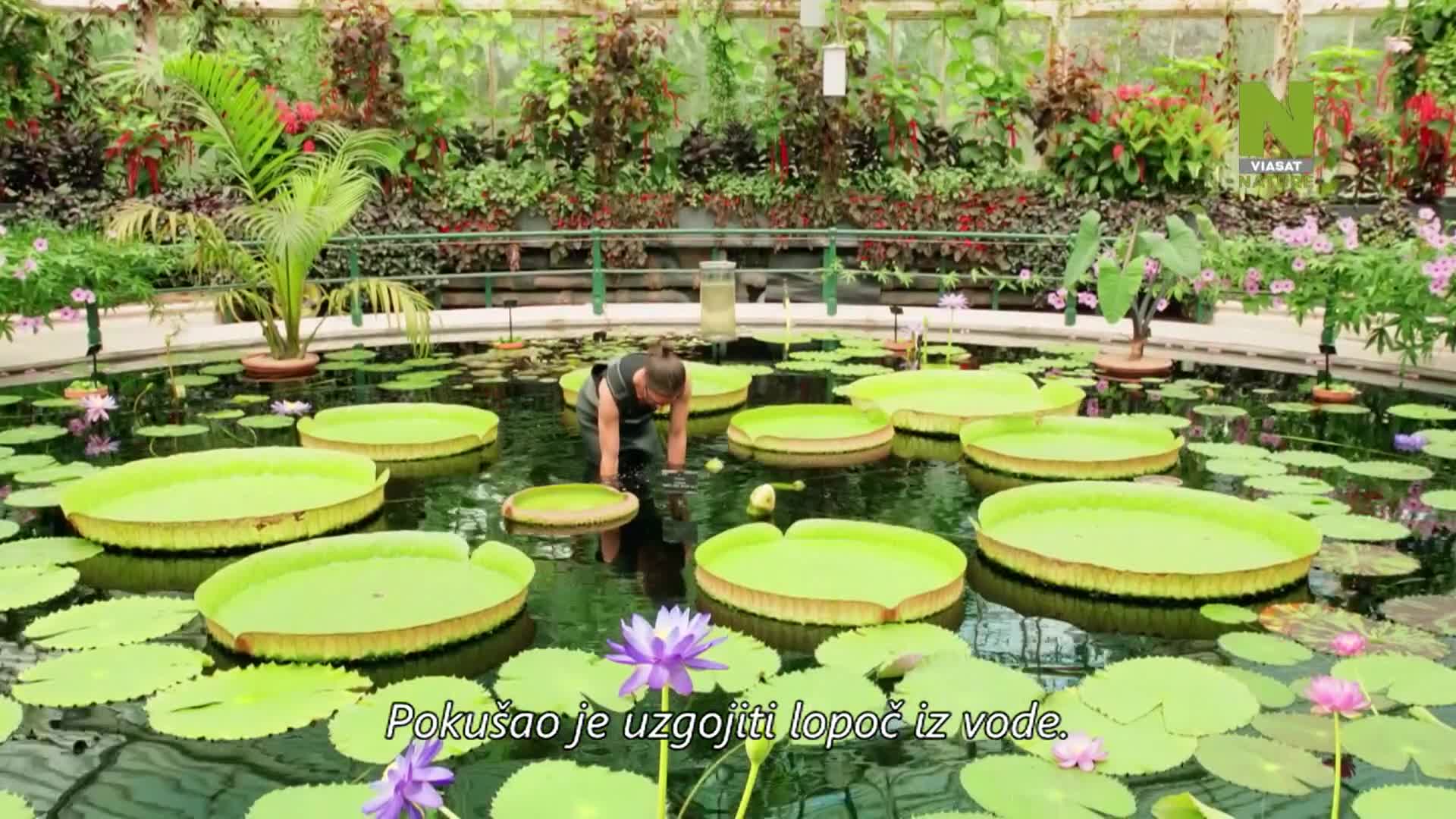 ViasatNature