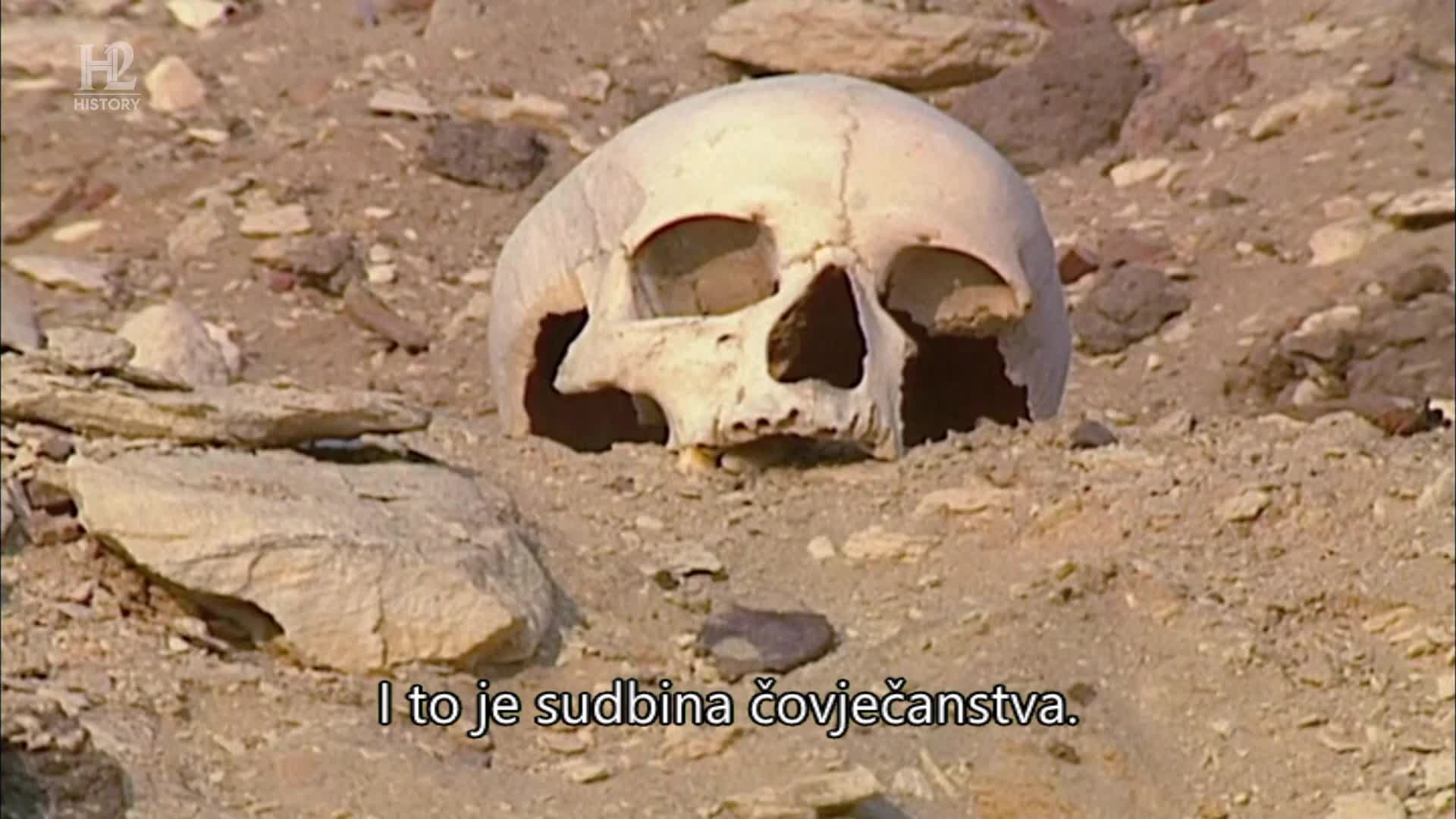 History2