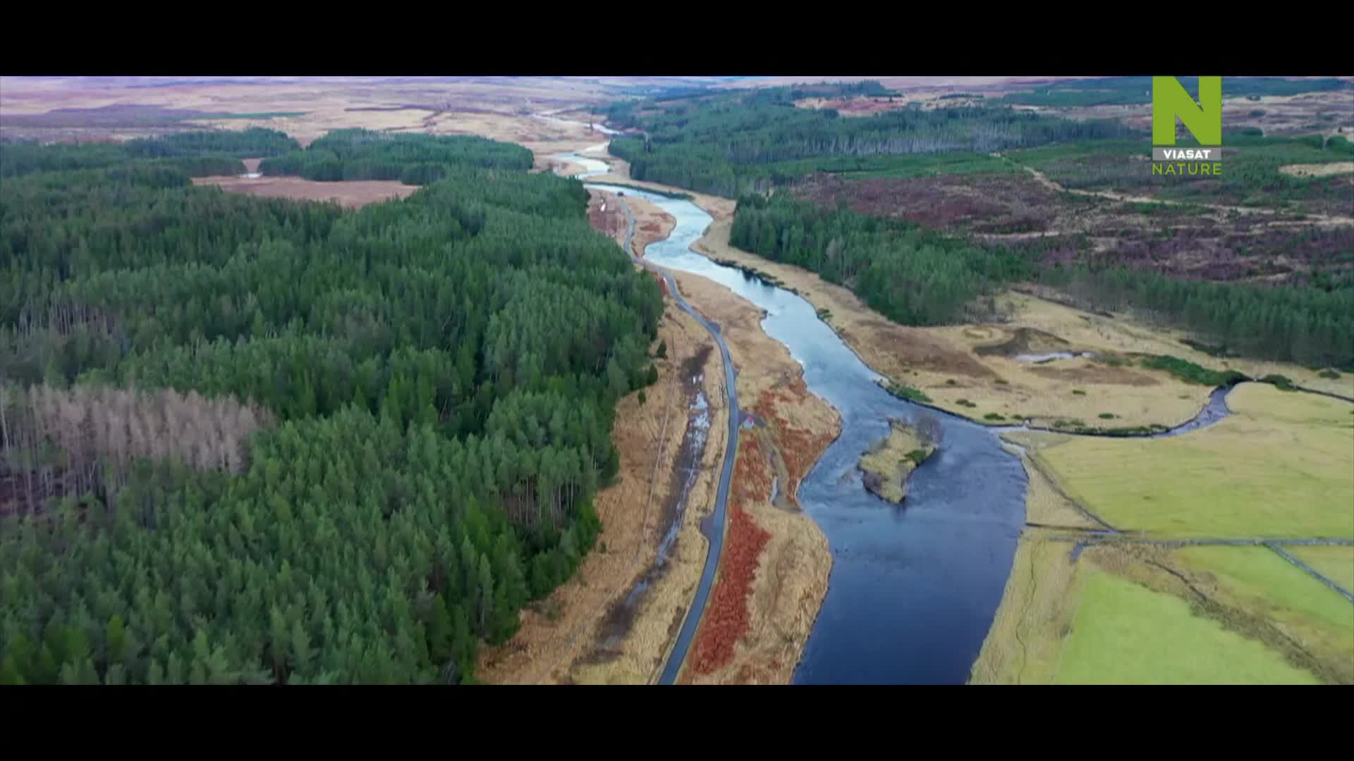 ViasatNature