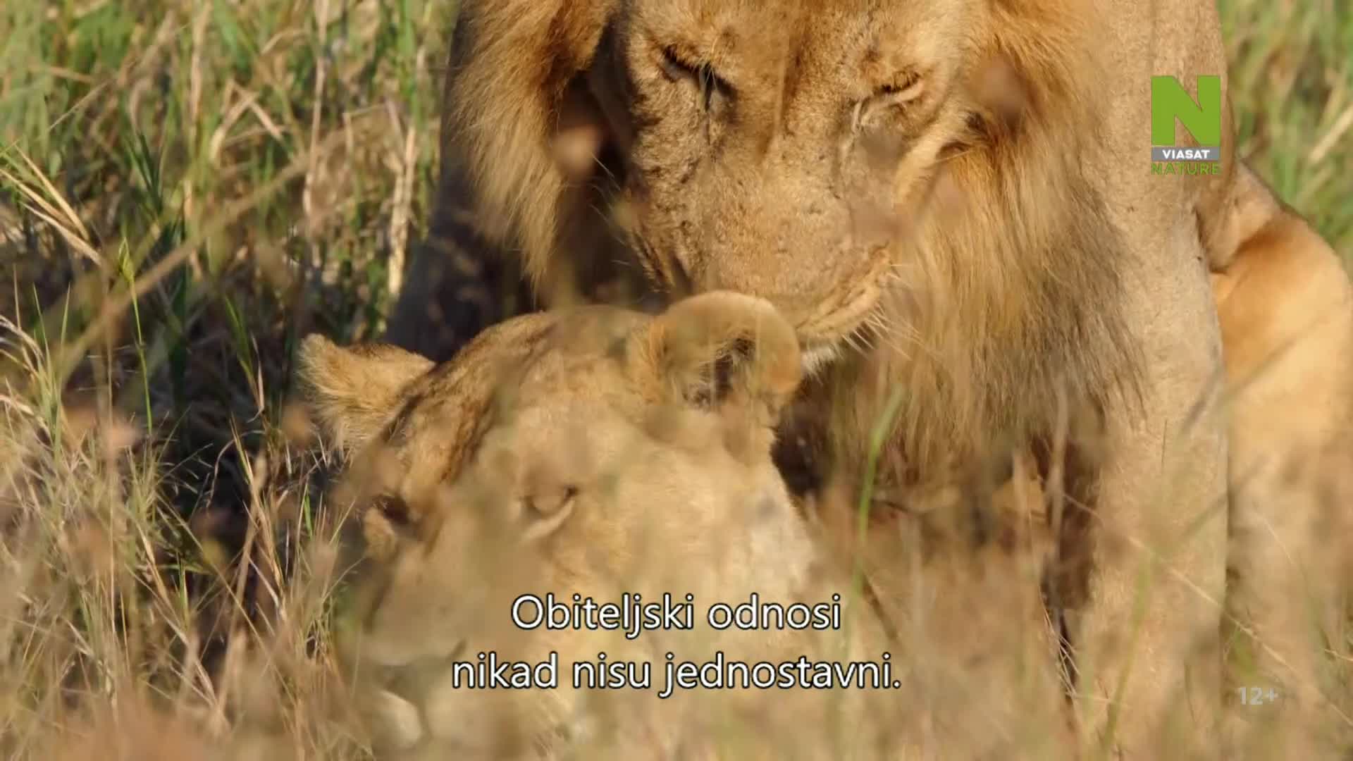 ViasatNature
