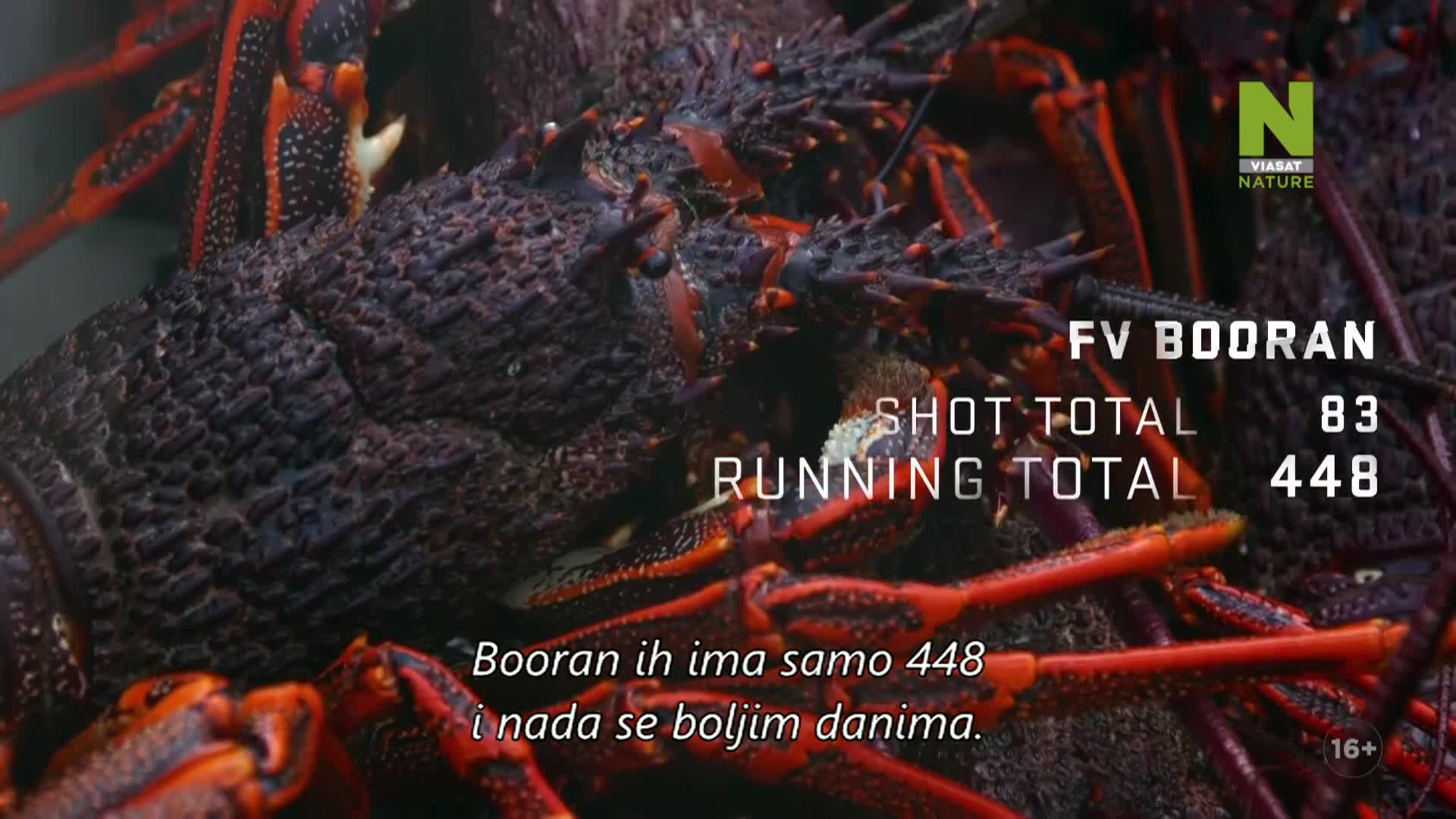 ViasatNature