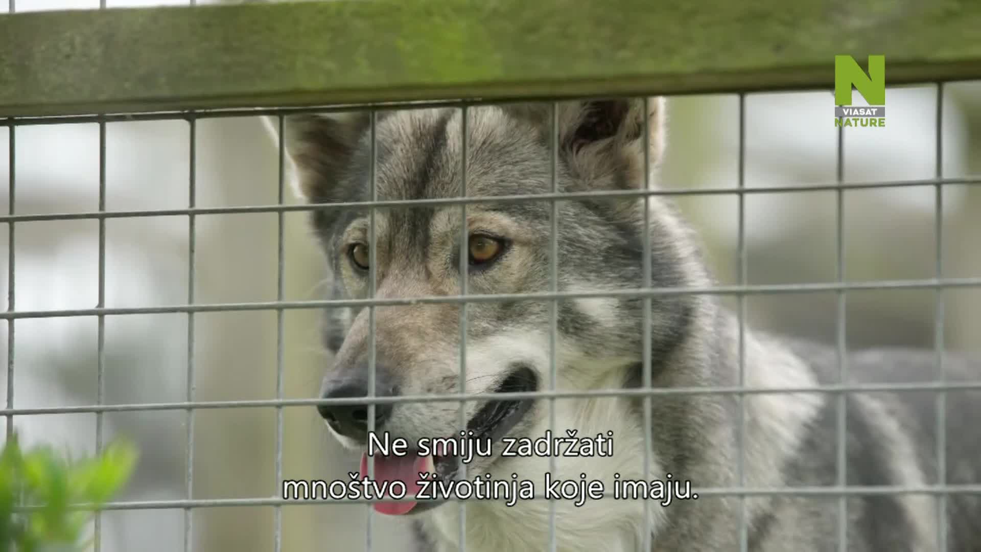 ViasatNature