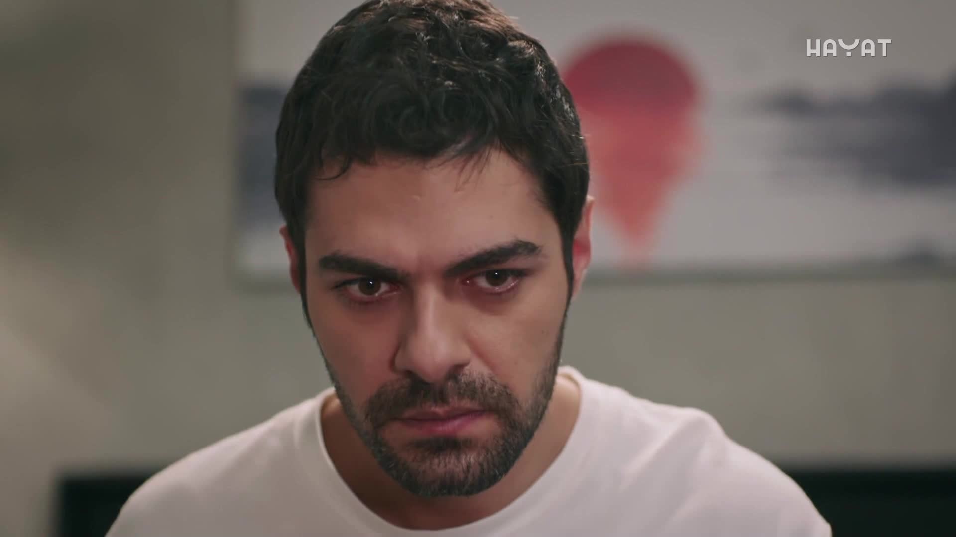 hayat