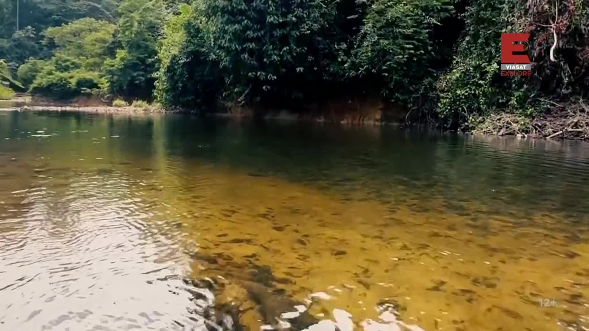 ViasatExplore