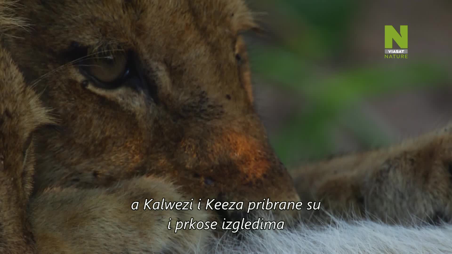 ViasatNature