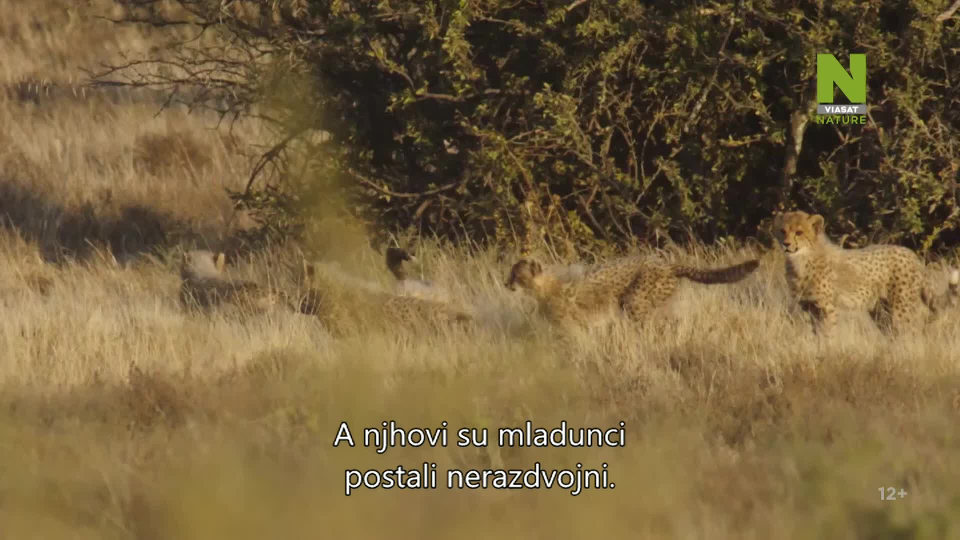 ViasatNature