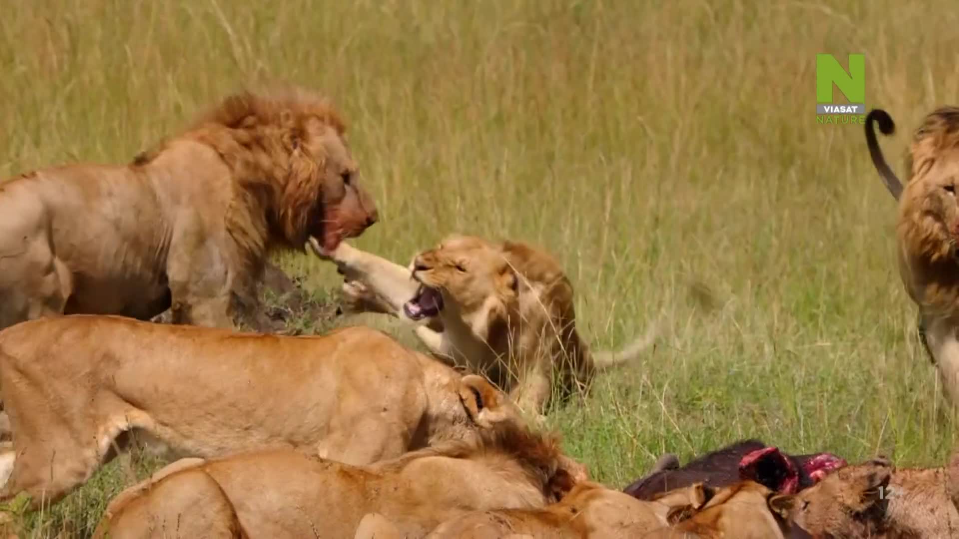 ViasatNature