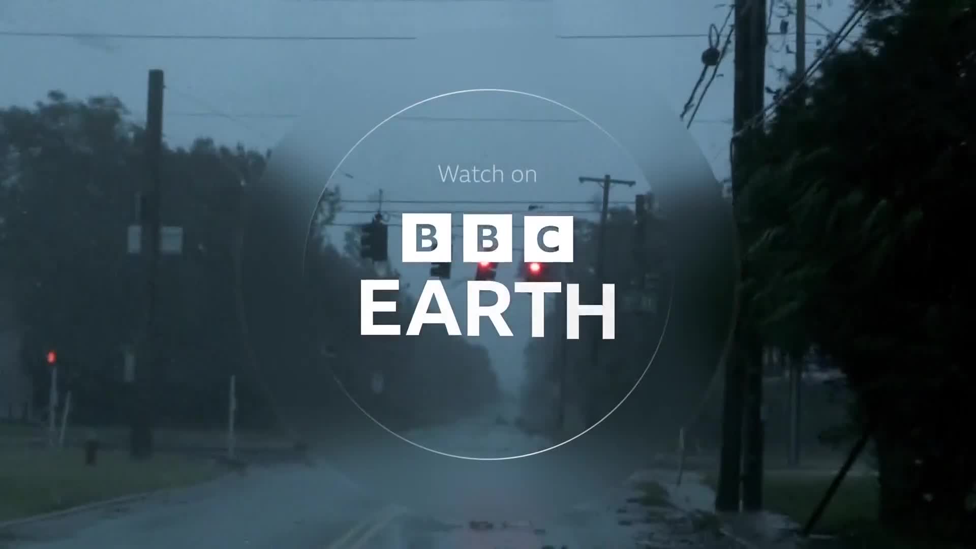 BBCEarth