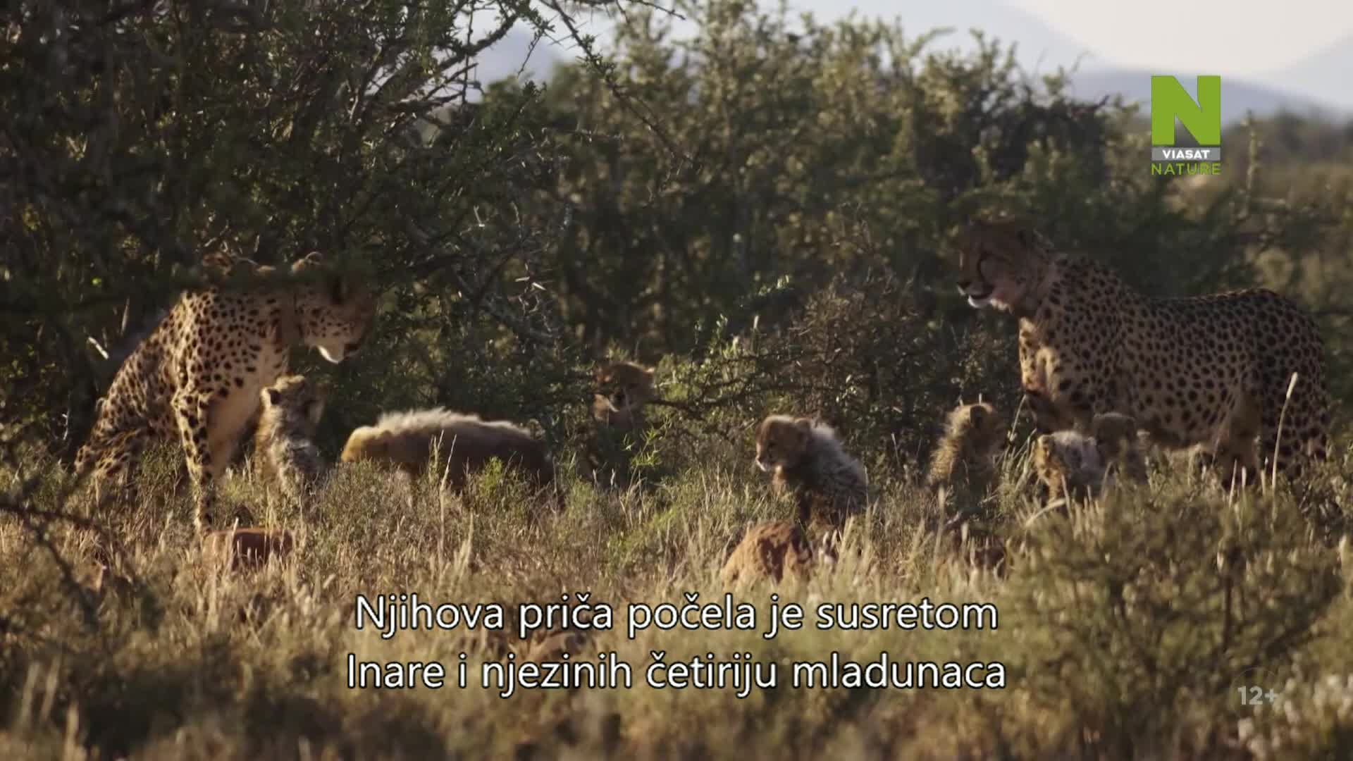 ViasatNature