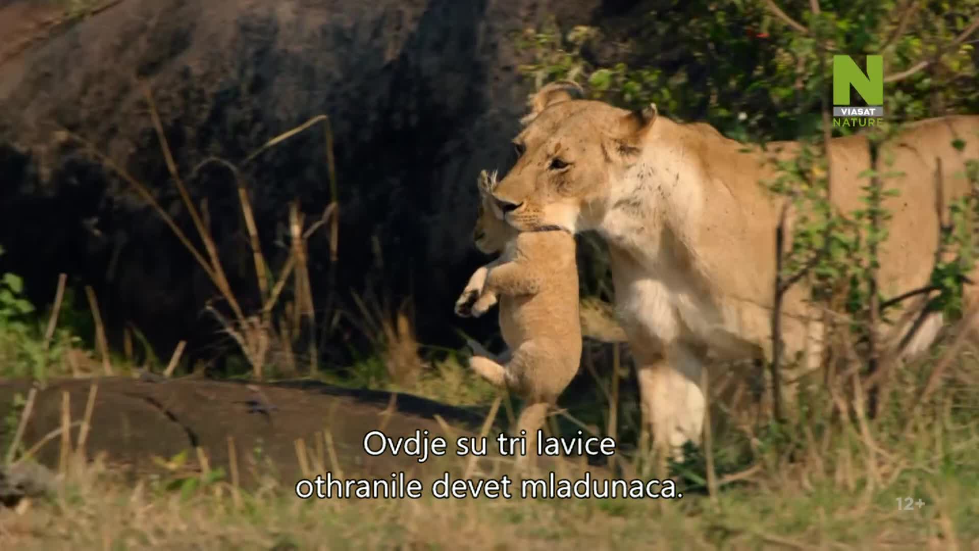 ViasatNature