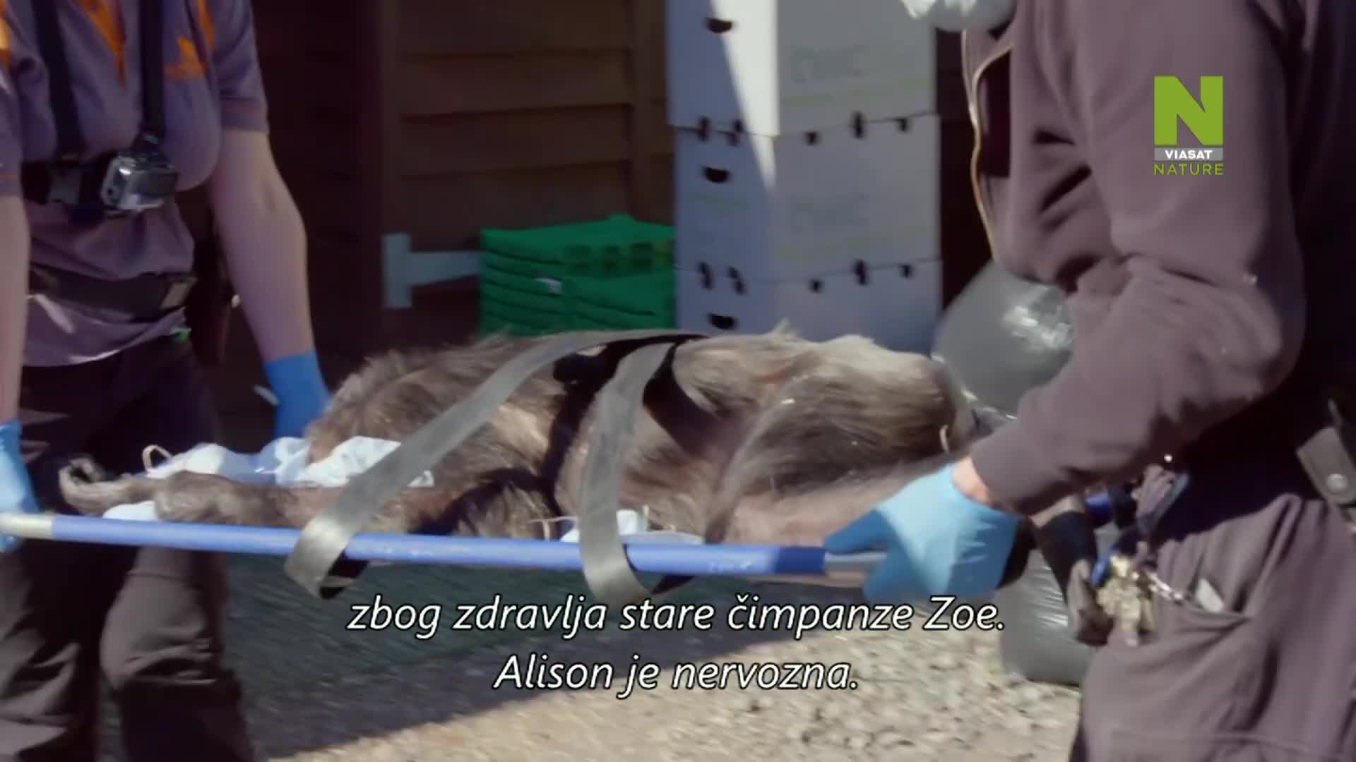 ViasatNature