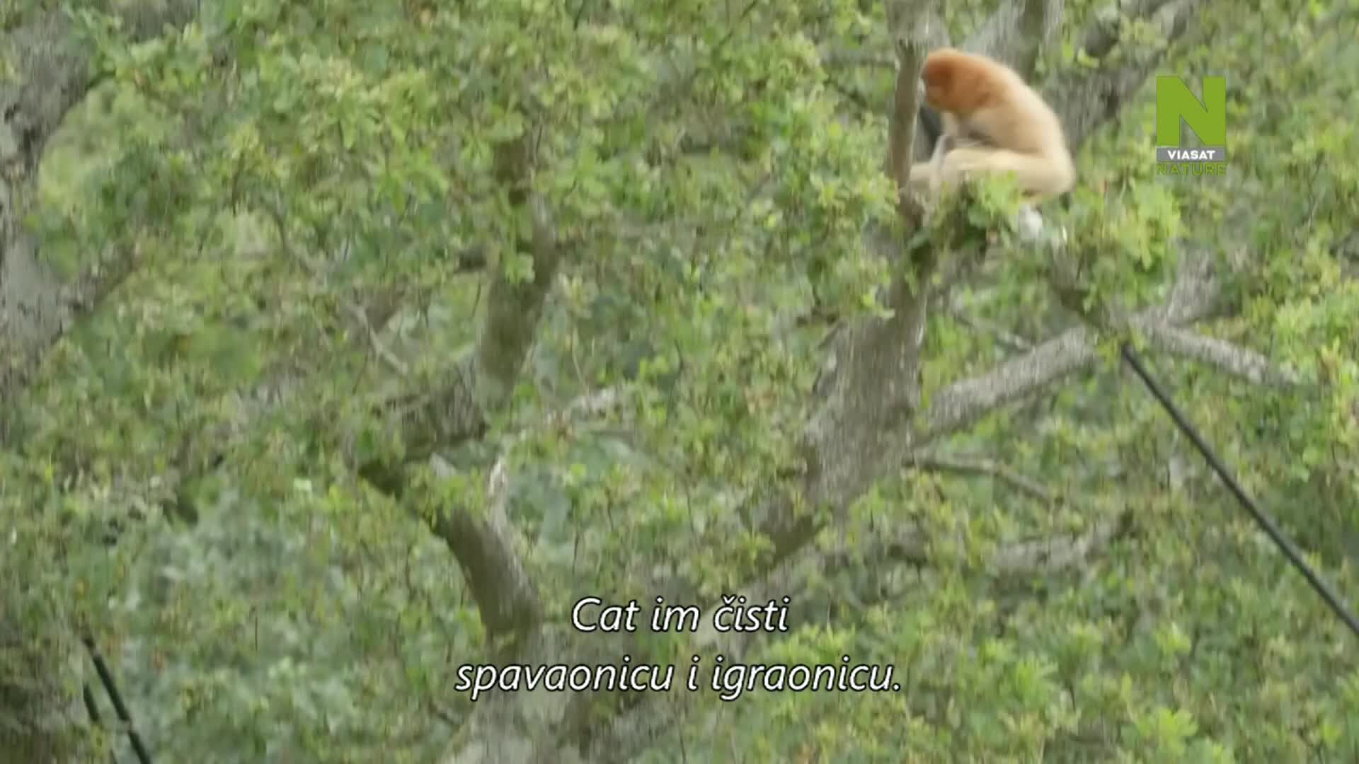 ViasatNature