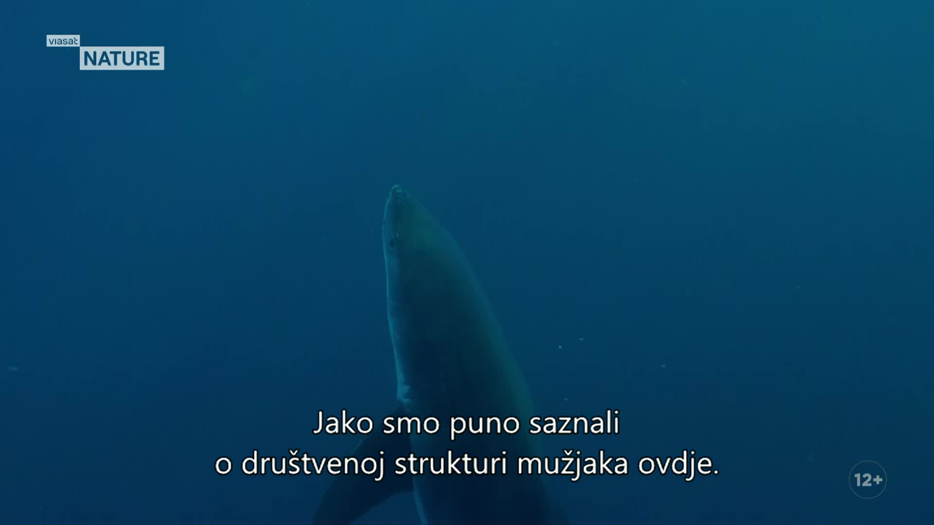ViasatNature