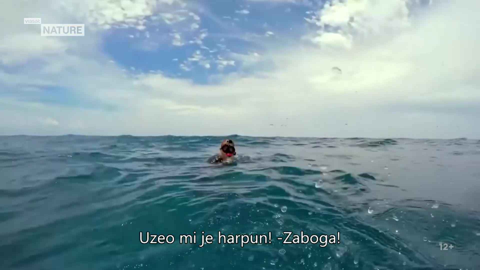 ViasatNature