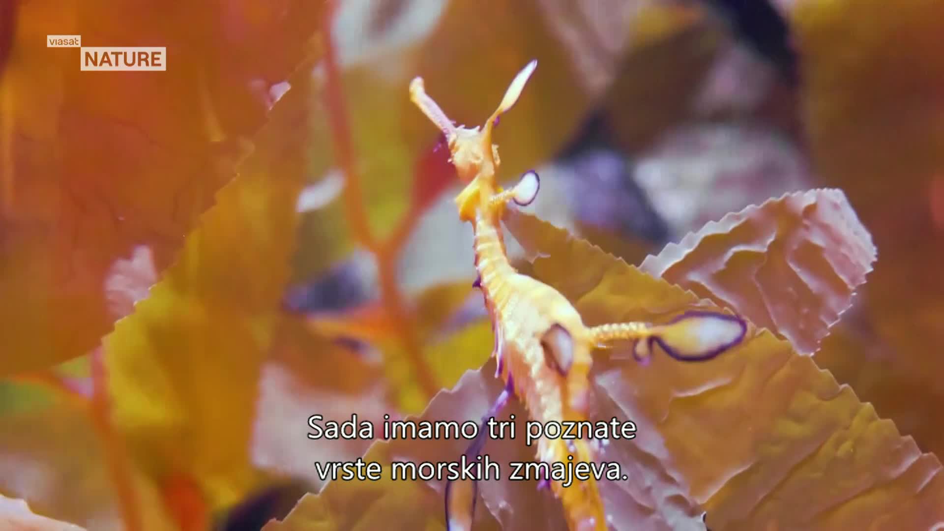 ViasatNature