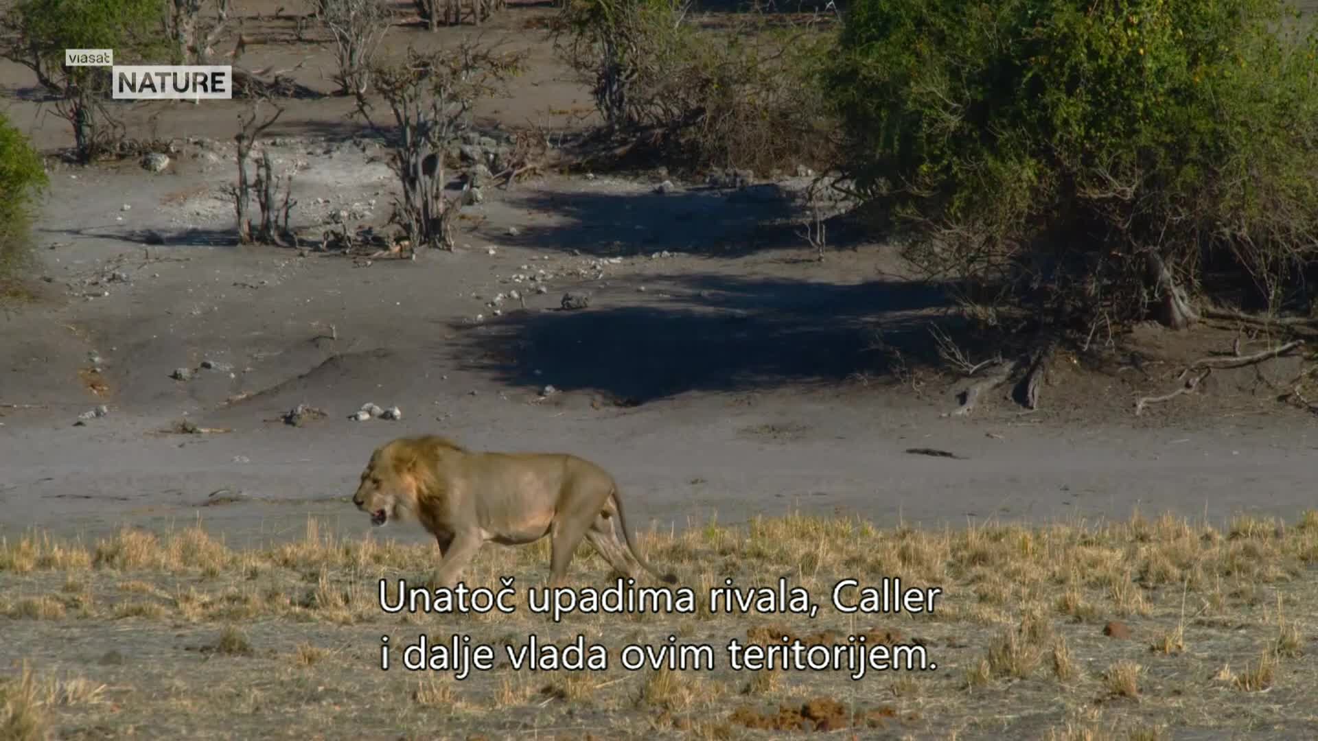 ViasatNature
