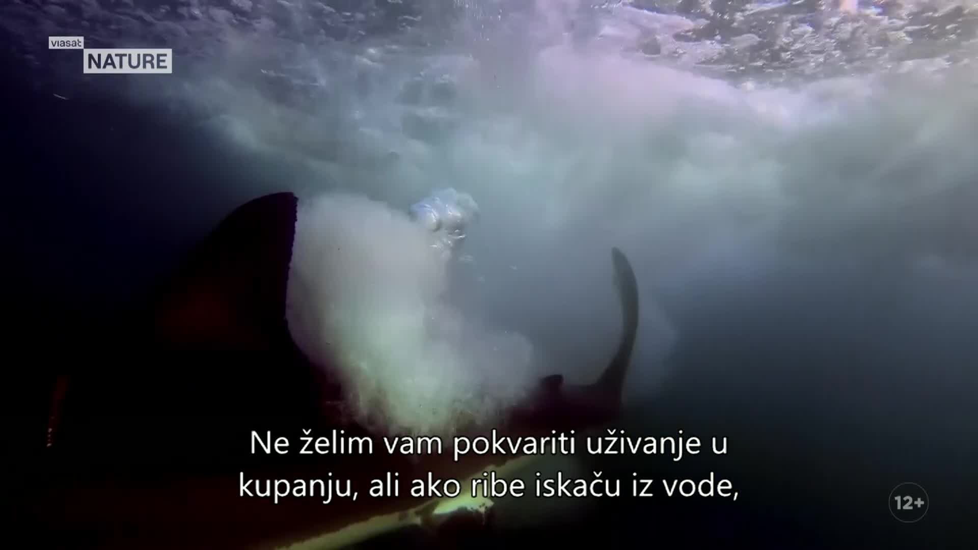 ViasatNature