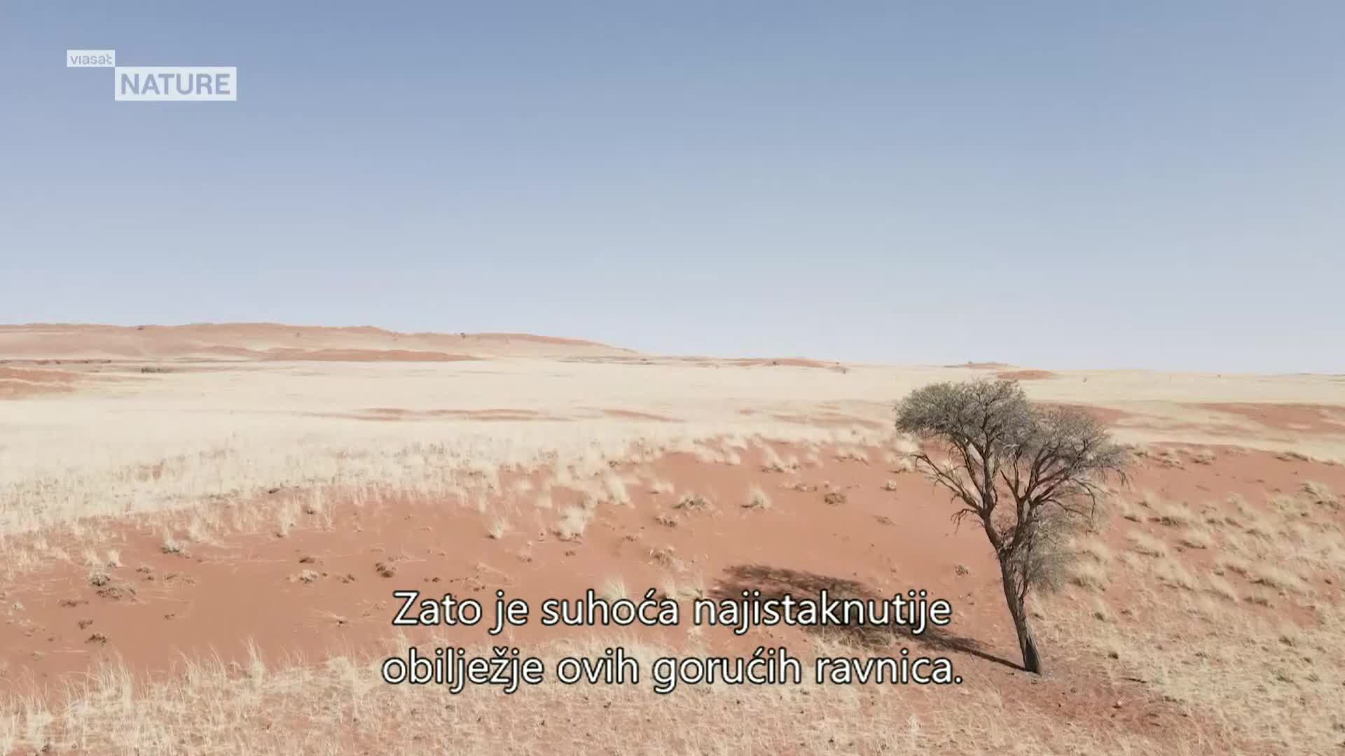 ViasatNature