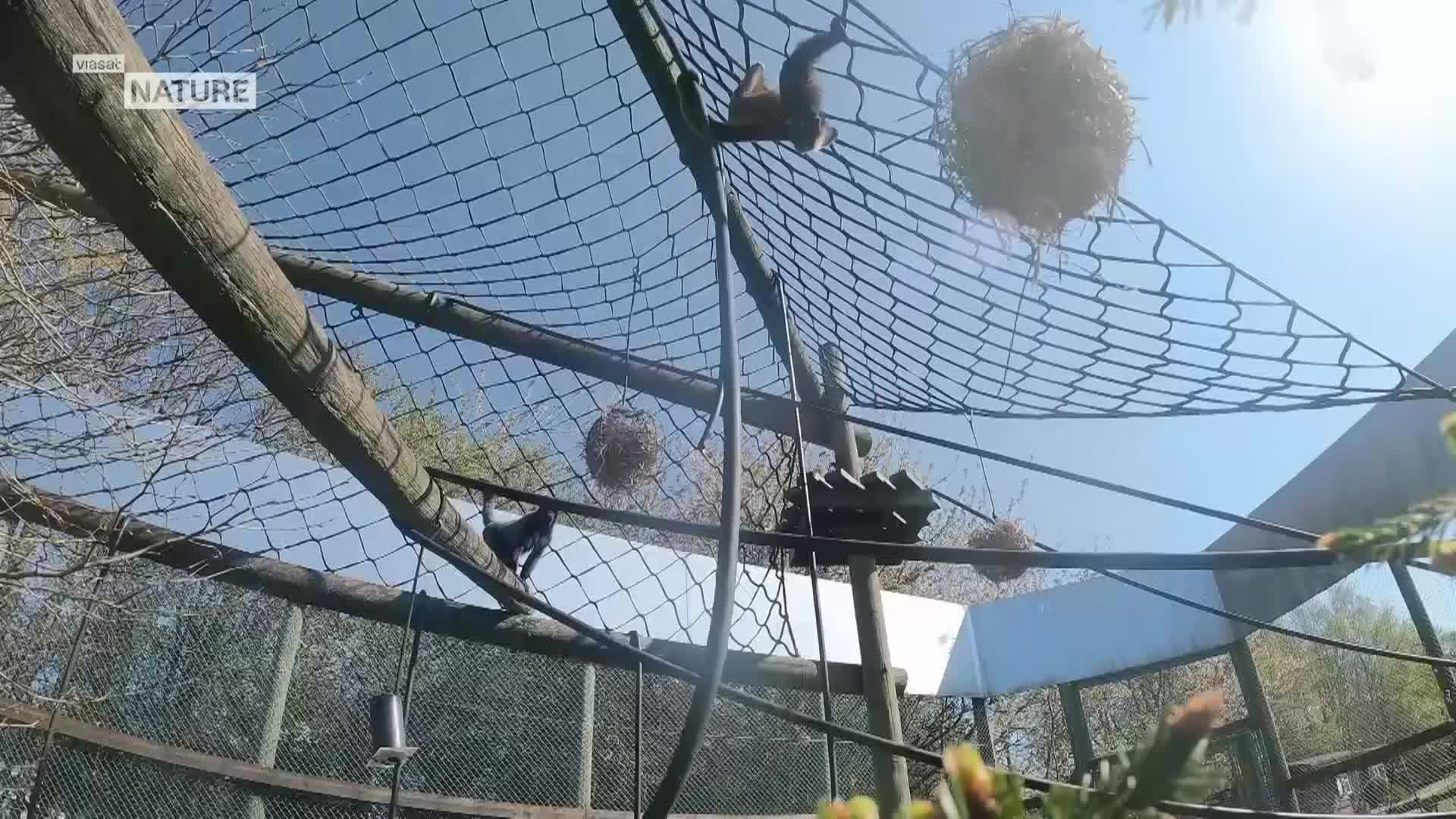 ViasatNature