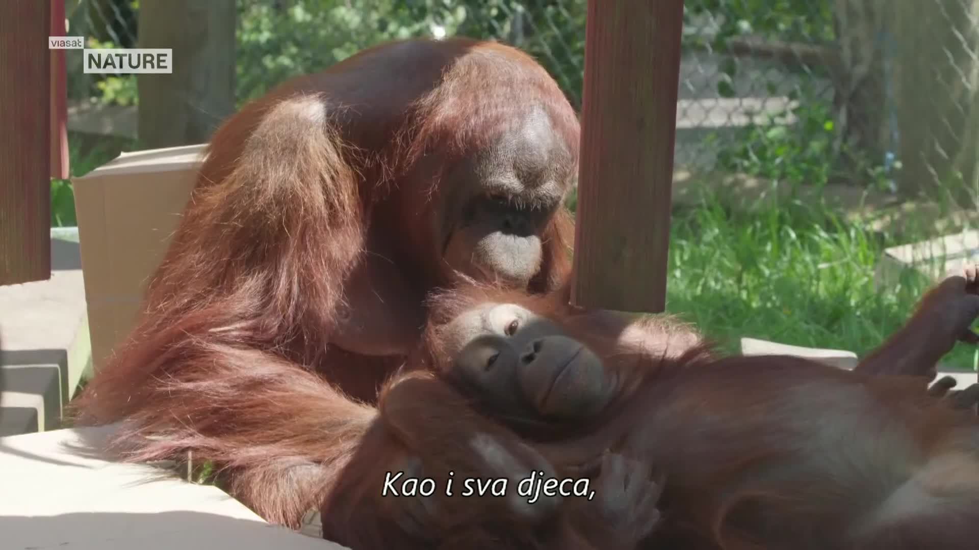 ViasatNature