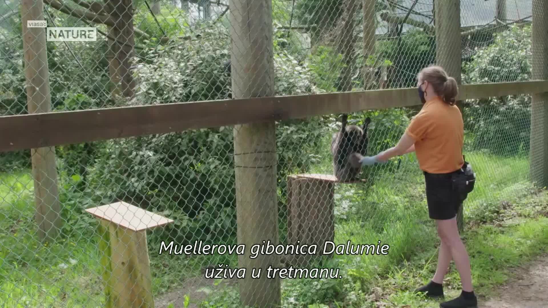 ViasatNature