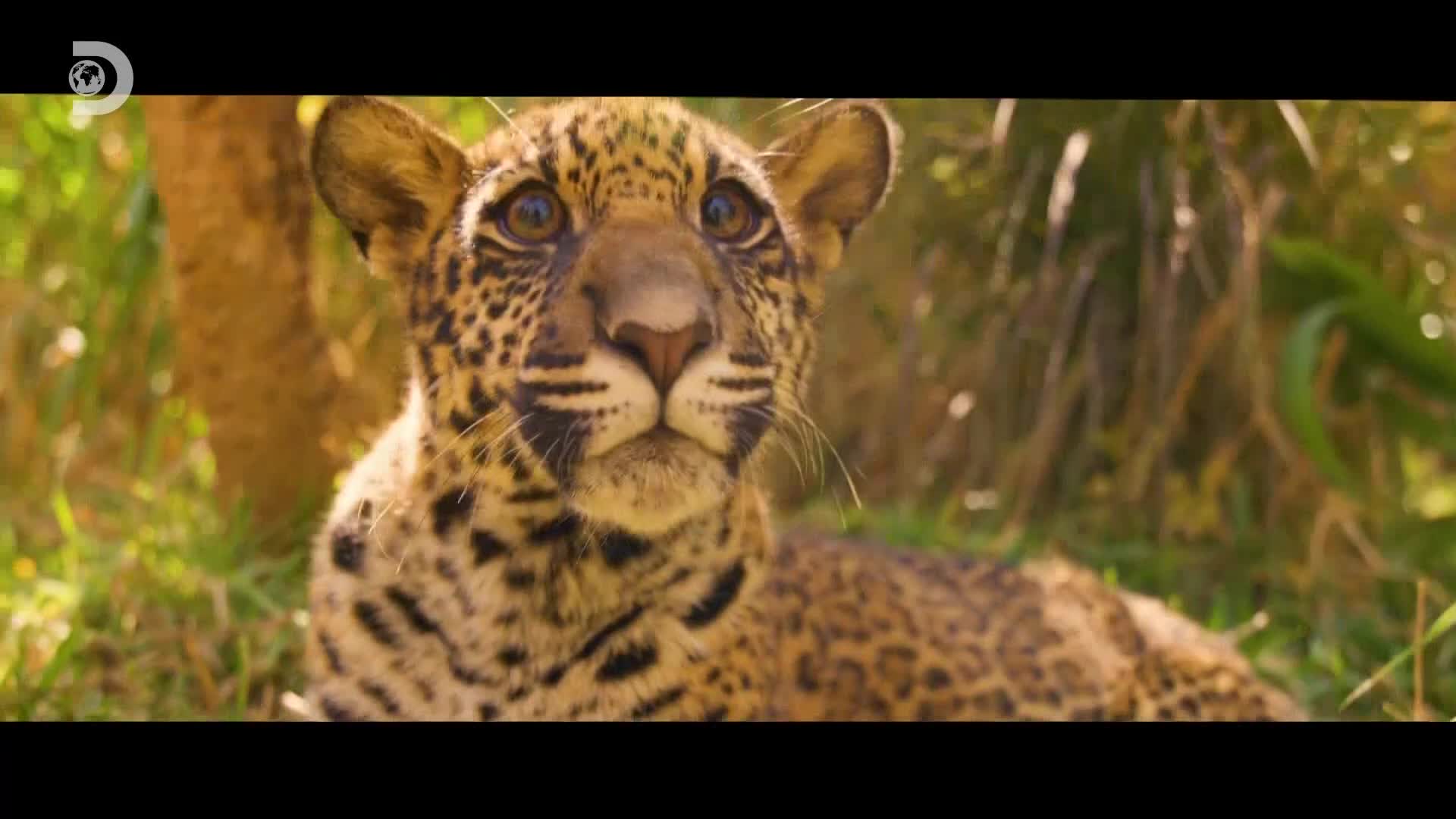 ViasatExplorer