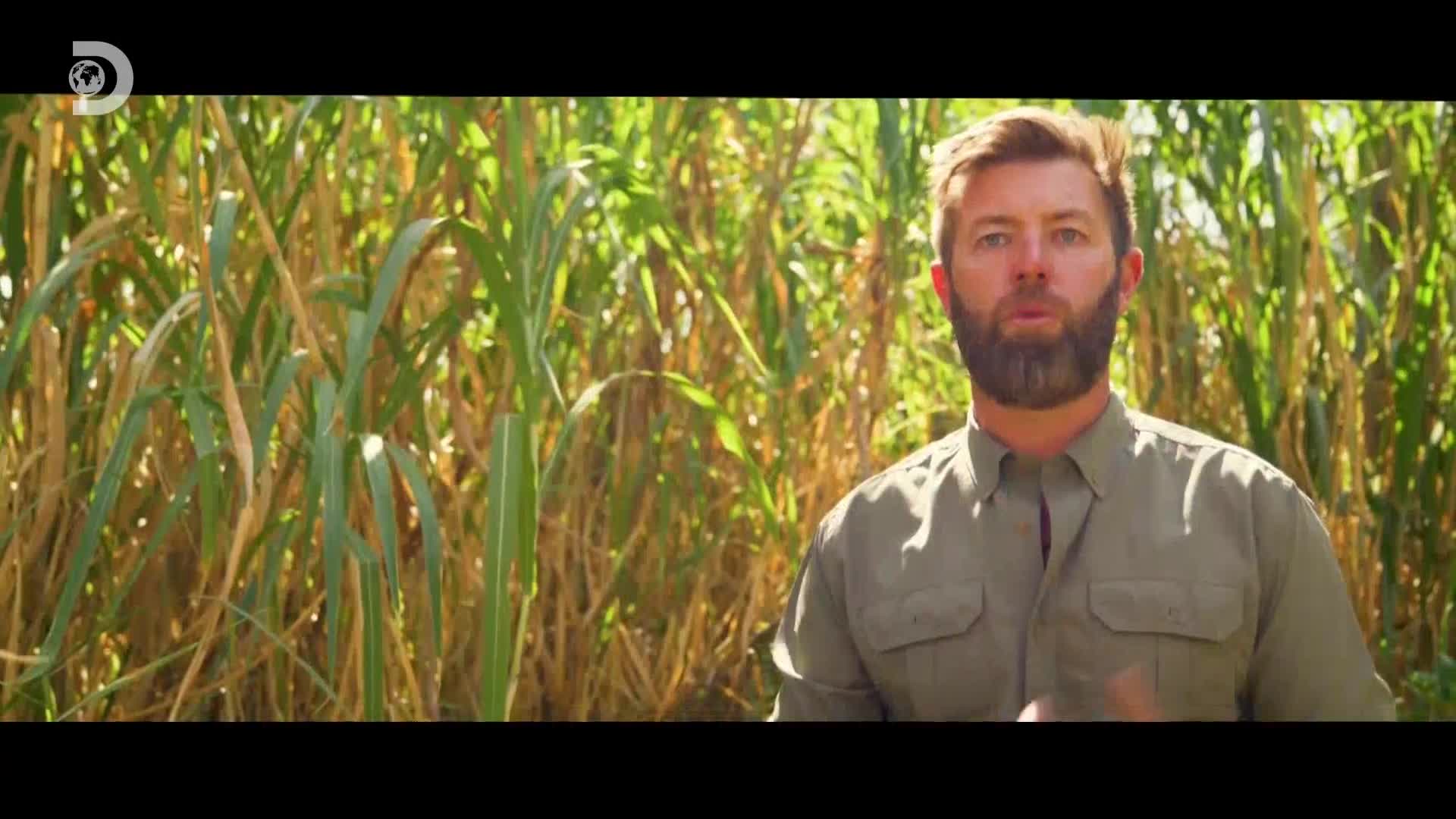 ViasatExplorer