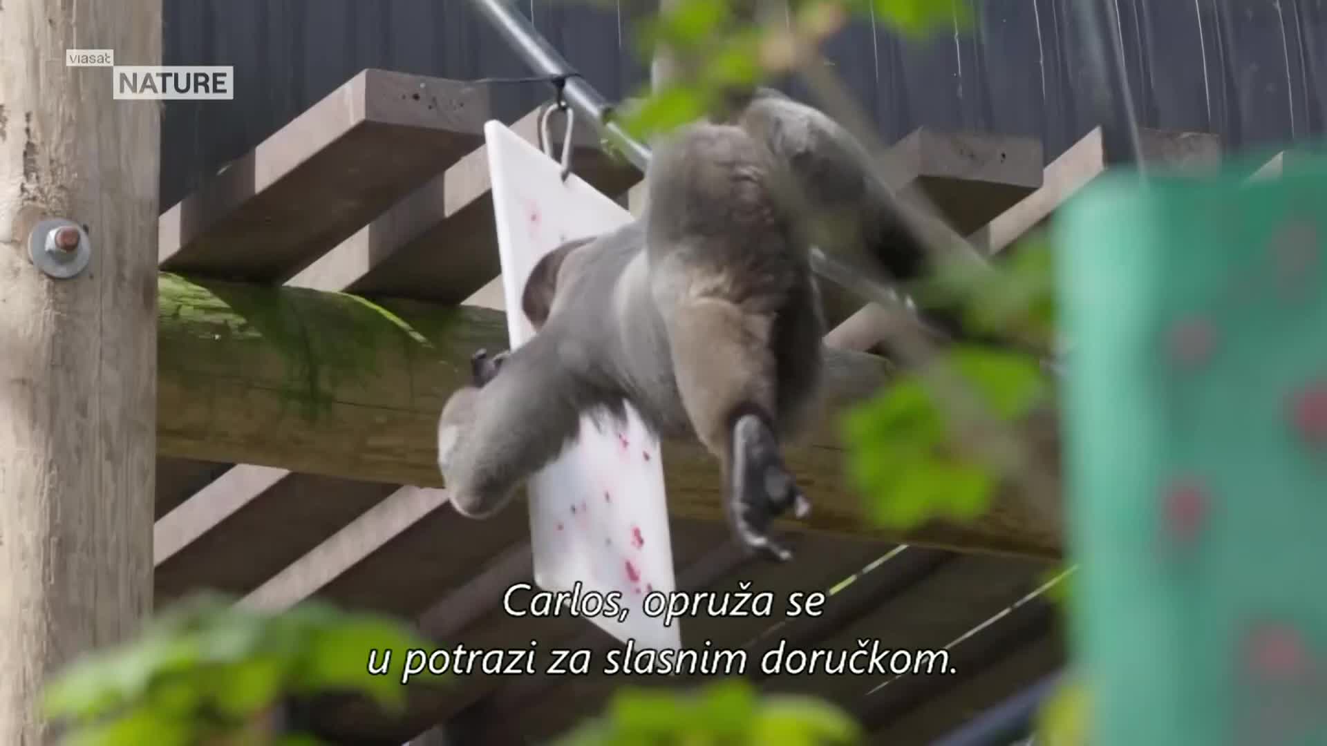 ViasatNature