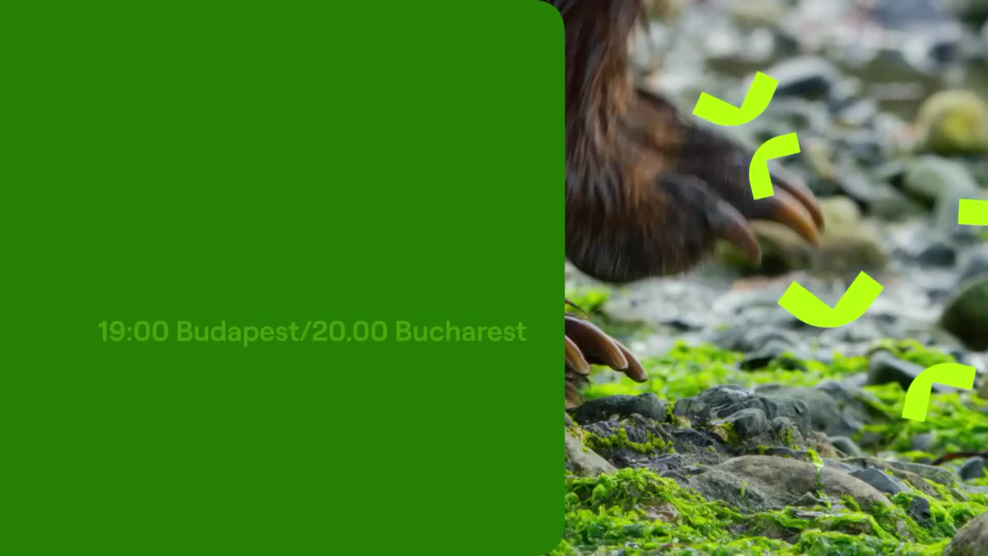 ViasatNature