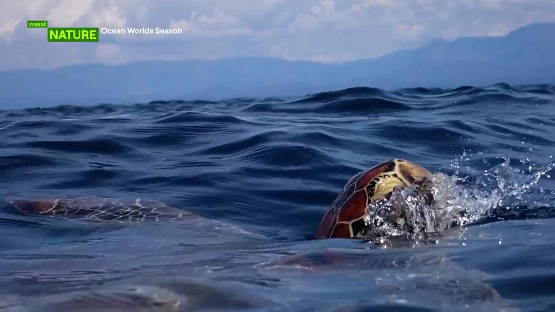 ViasatNature