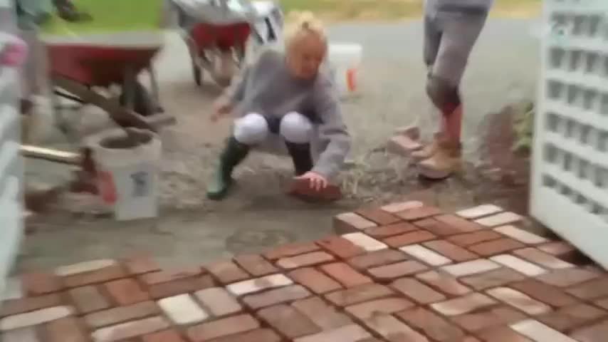 AXNSpin