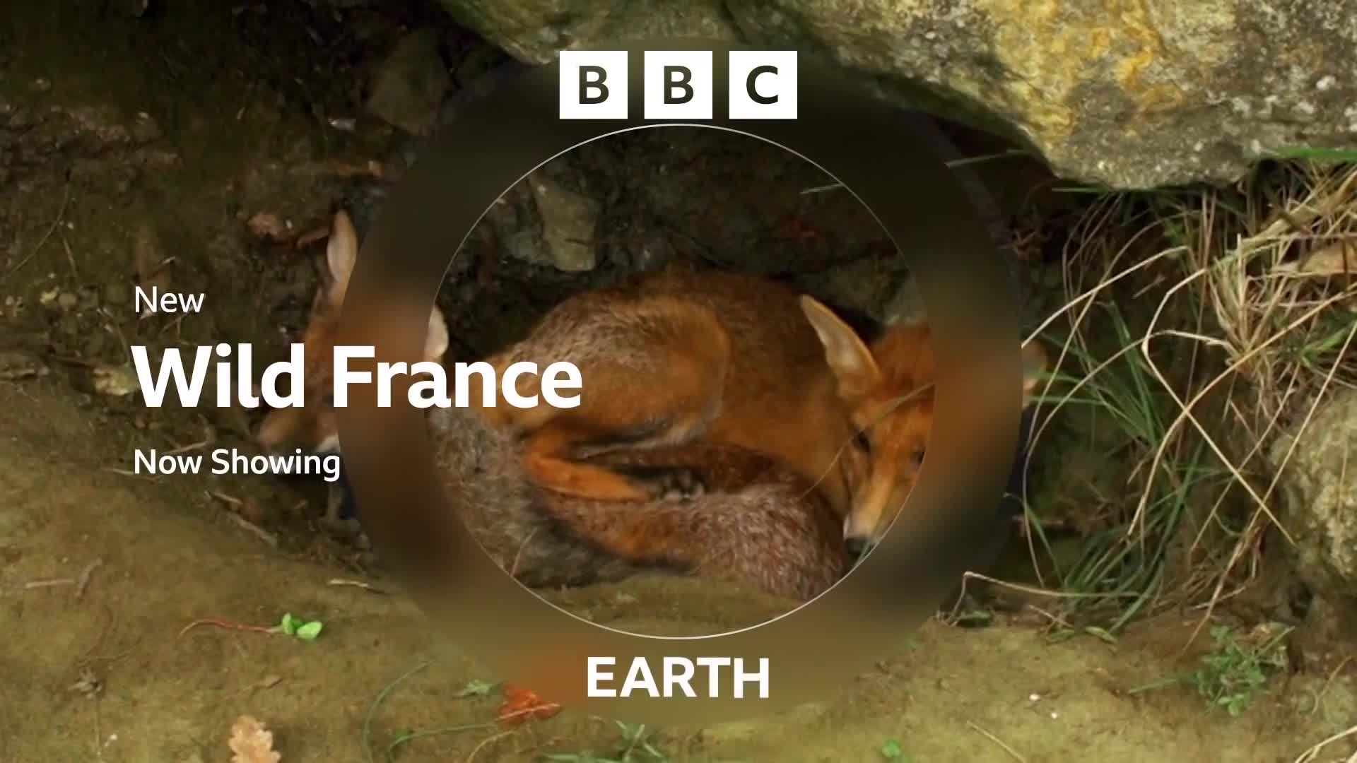 BBCEarth