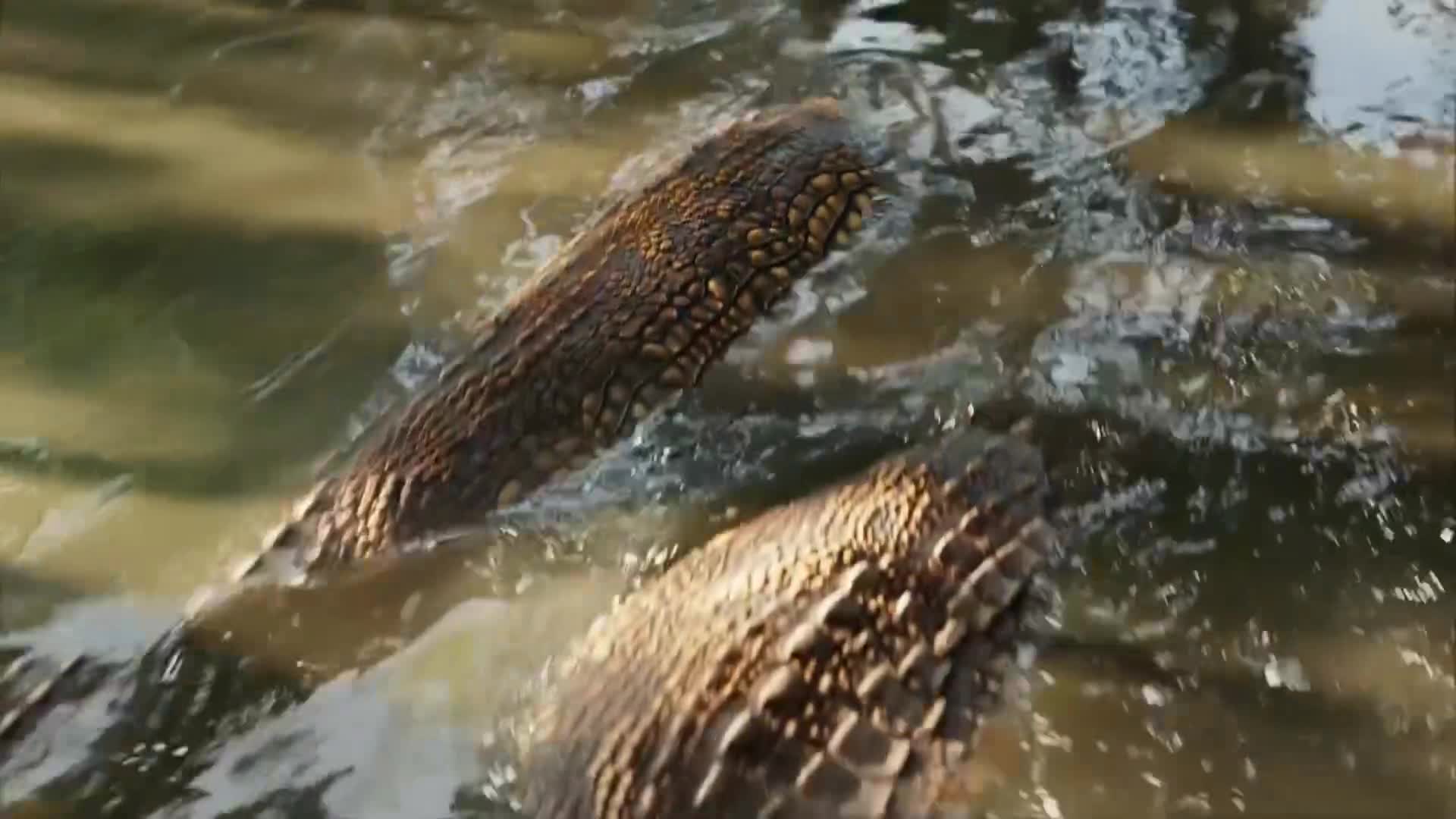 ViasatNature