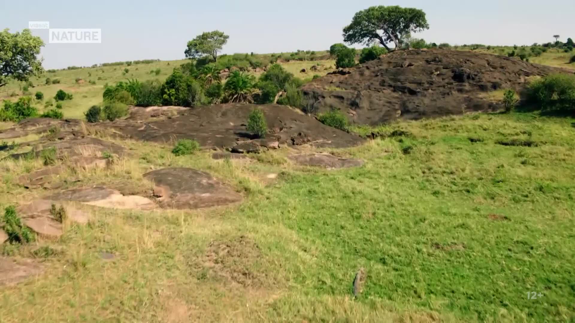 ViasatNature