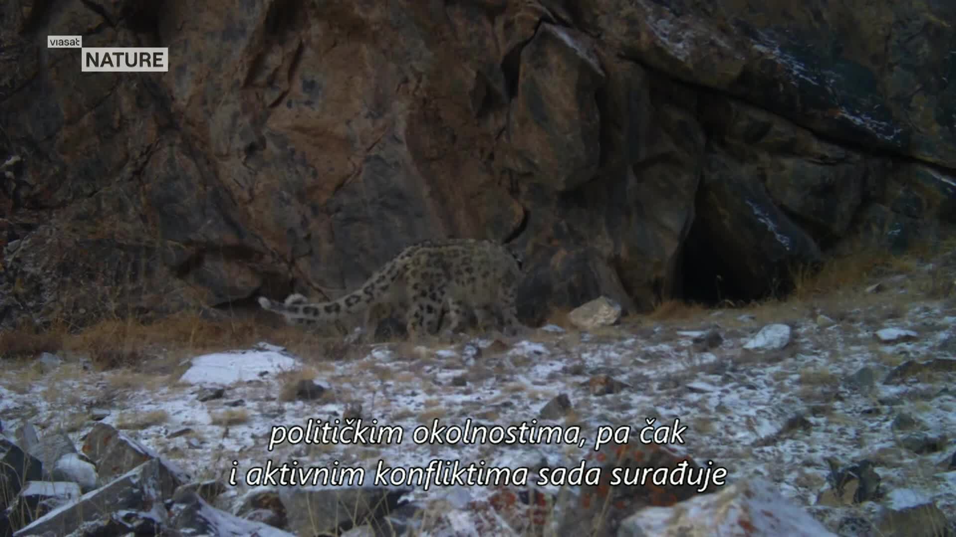 ViasatNature
