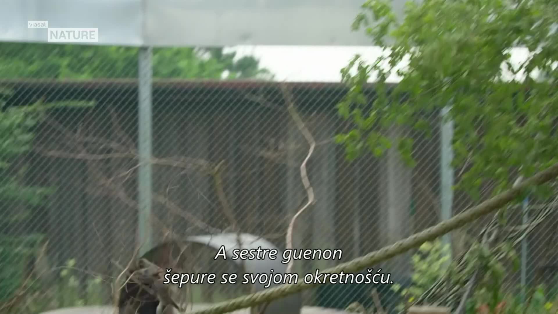 ViasatNature