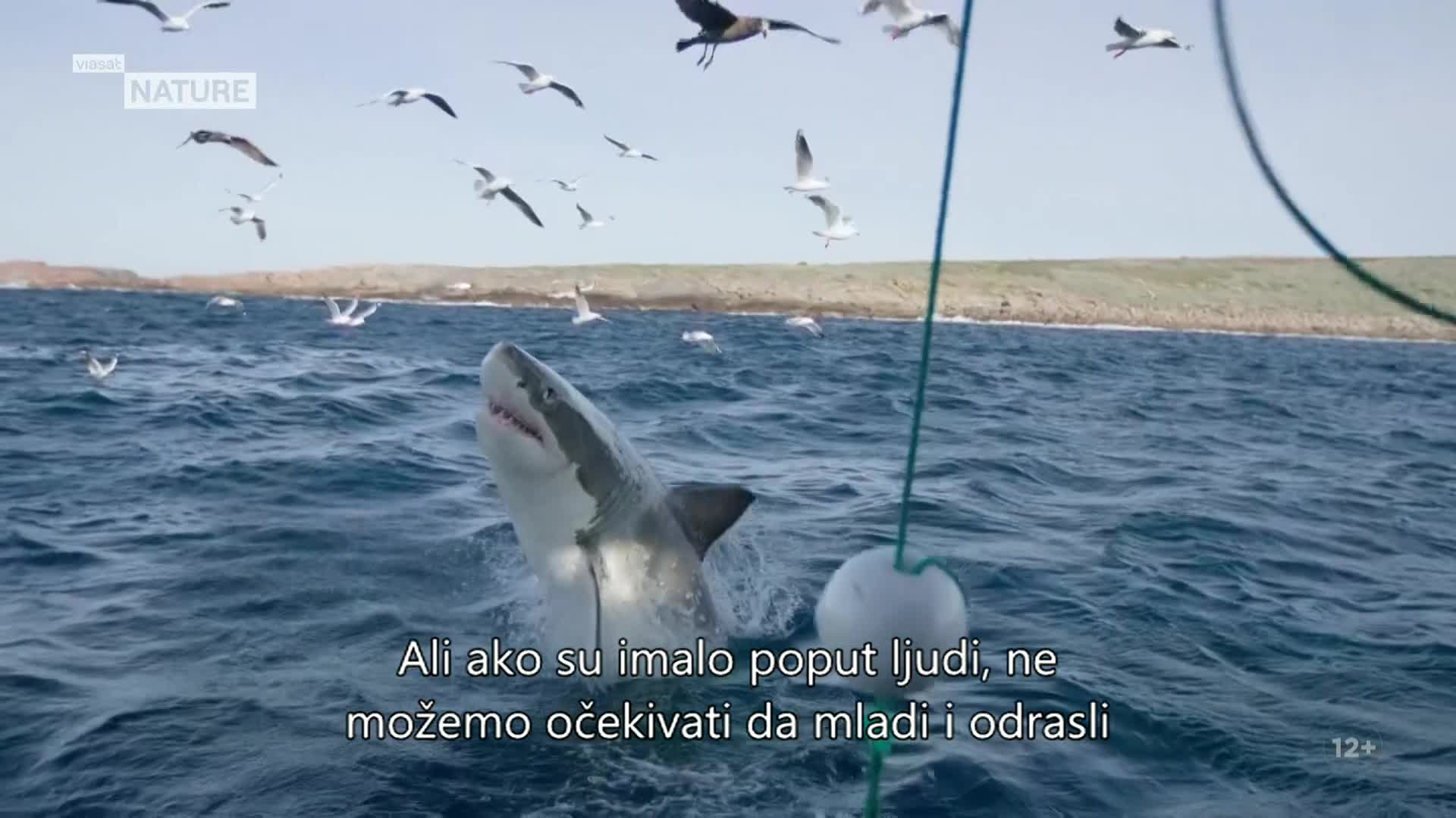 ViasatNature