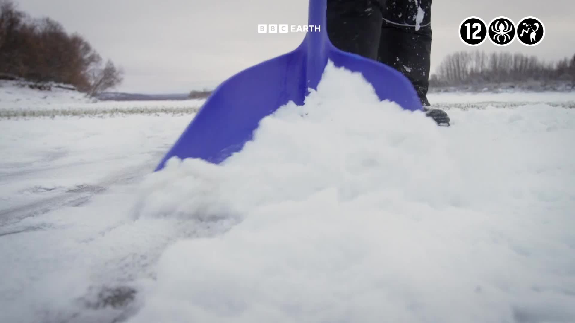 BBCEarth